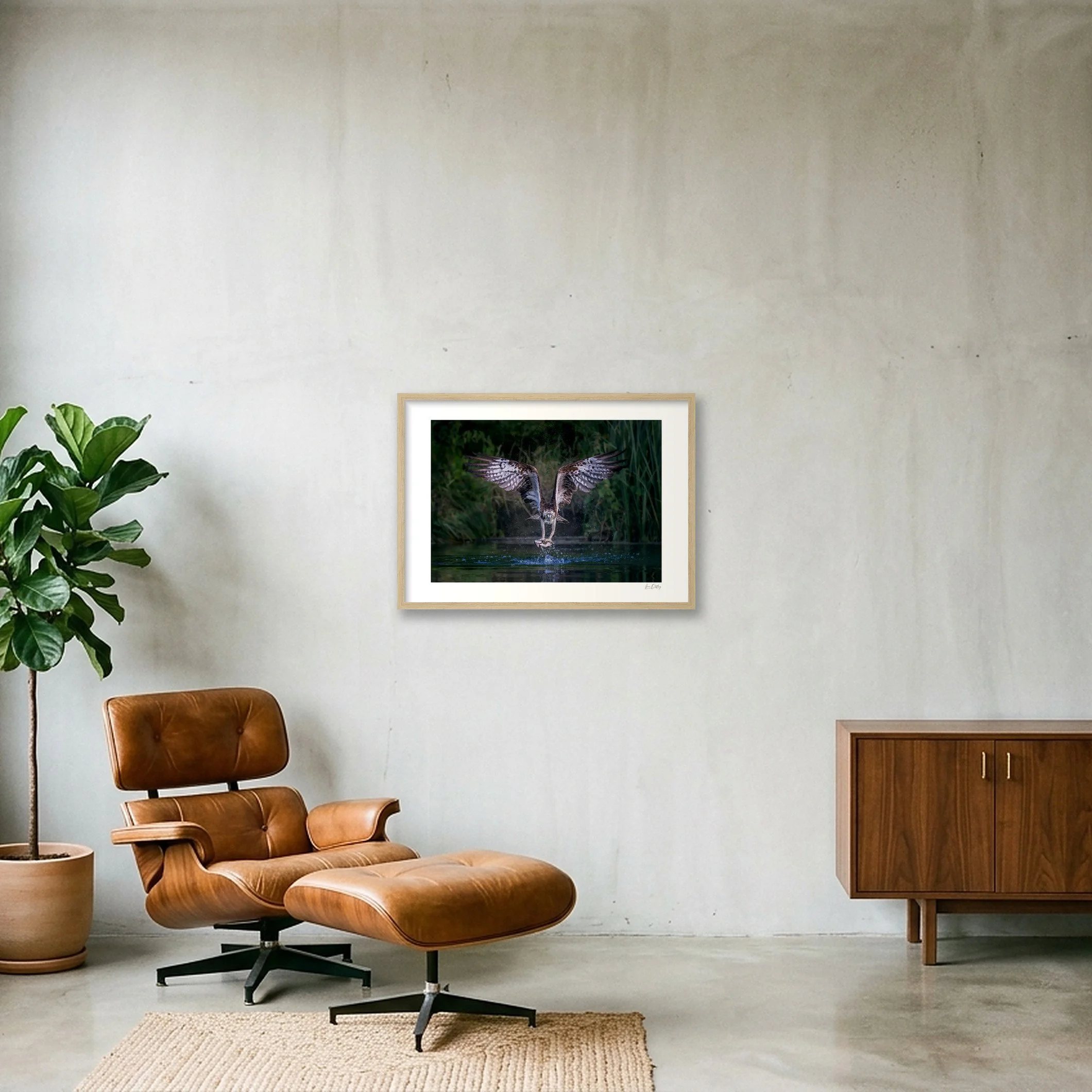 shot_wall_acd3fd31.jpg