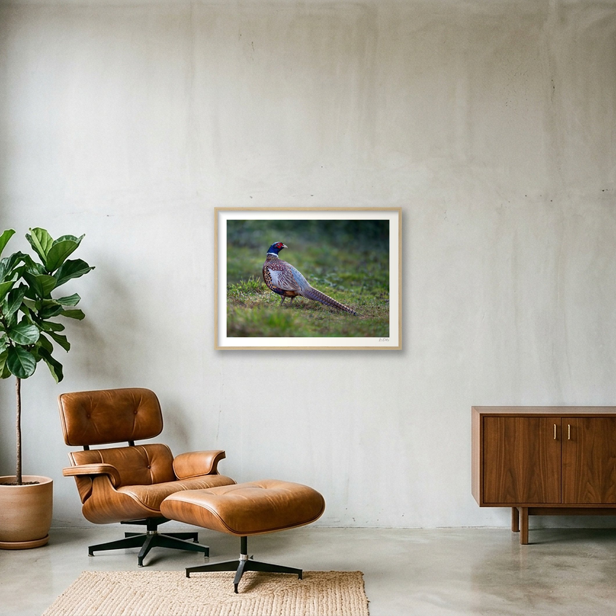 shot_wall_bfd31d40.jpg