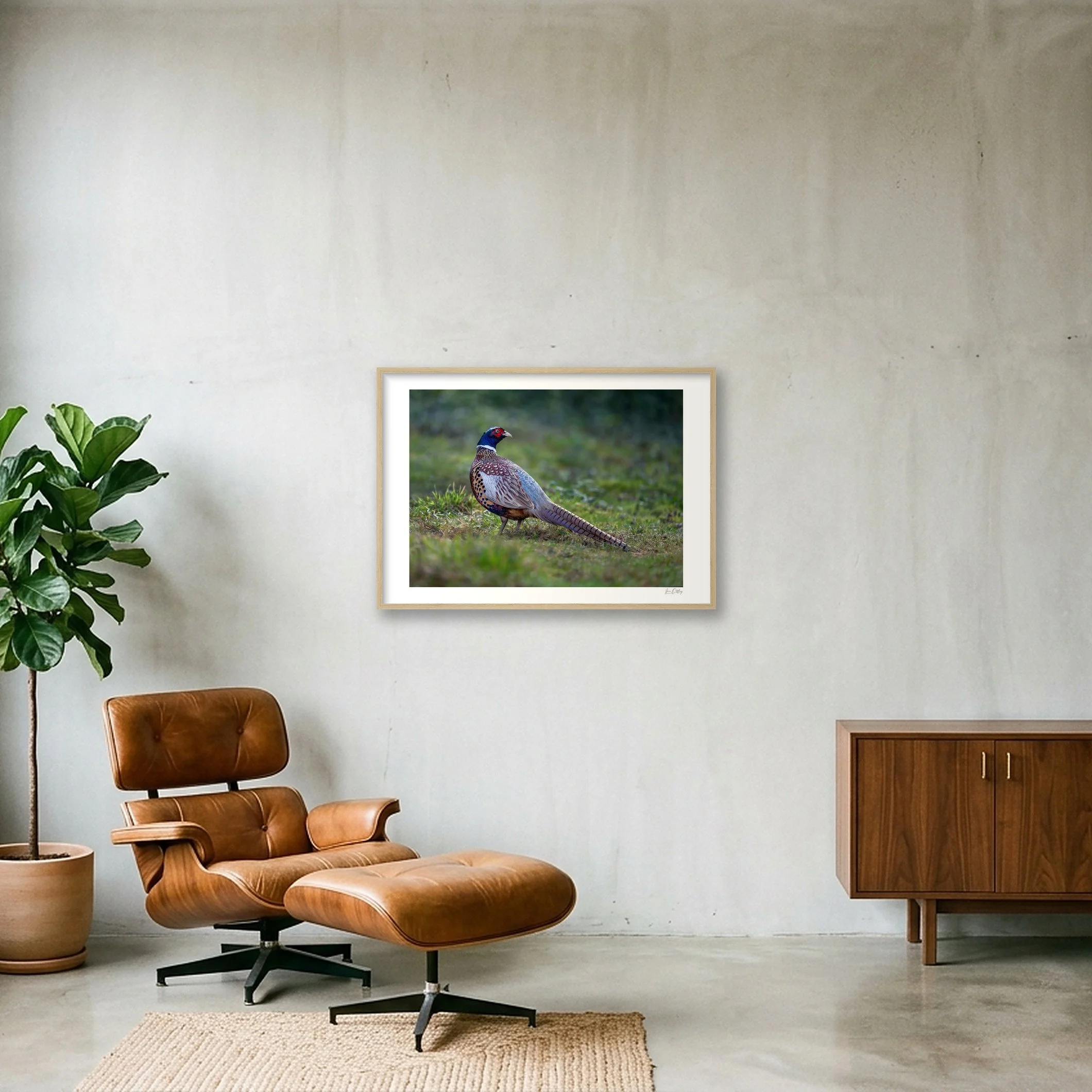 shot_wall_87249341.jpg