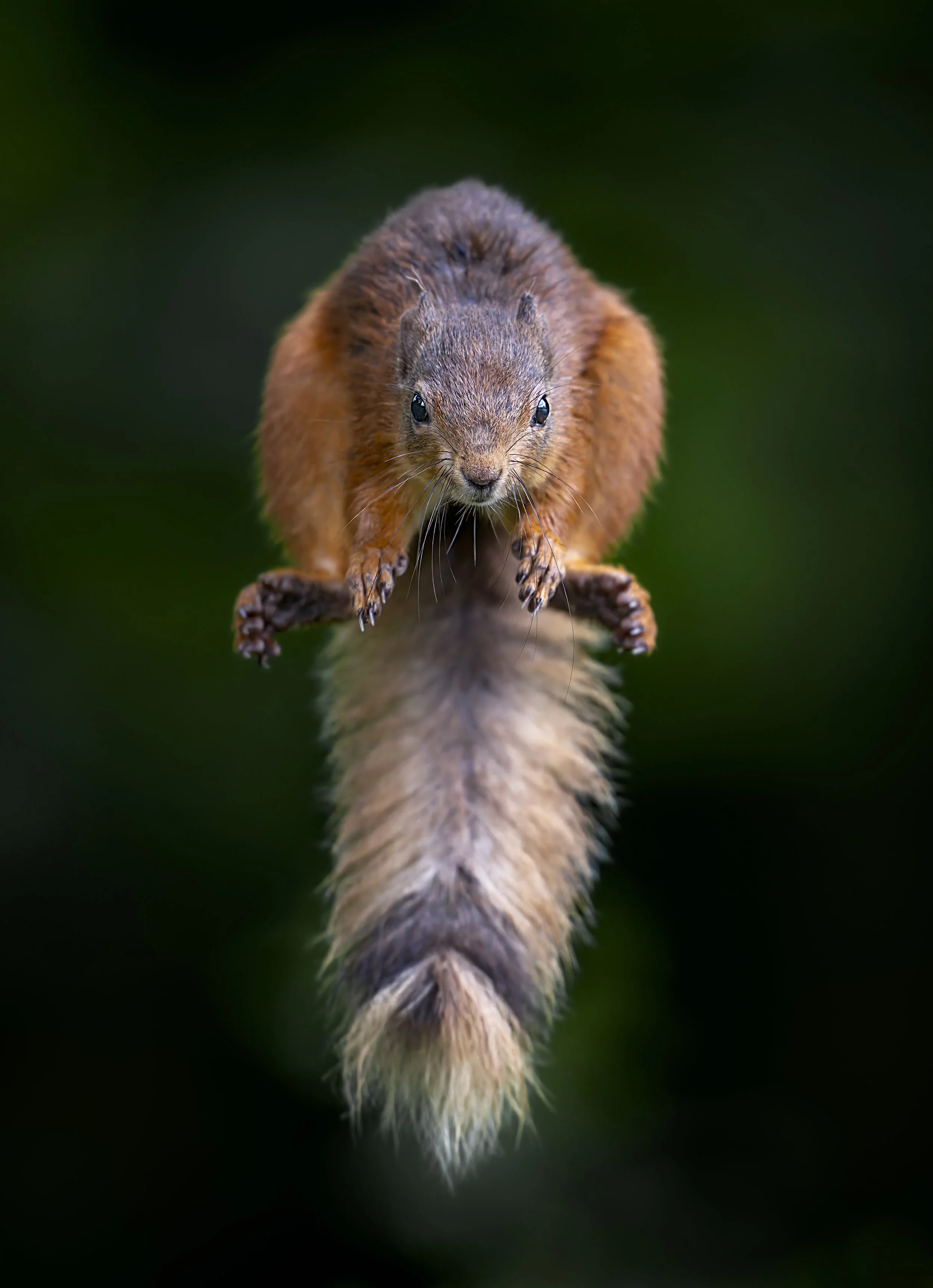 artwork_6aa29dc7.jpg