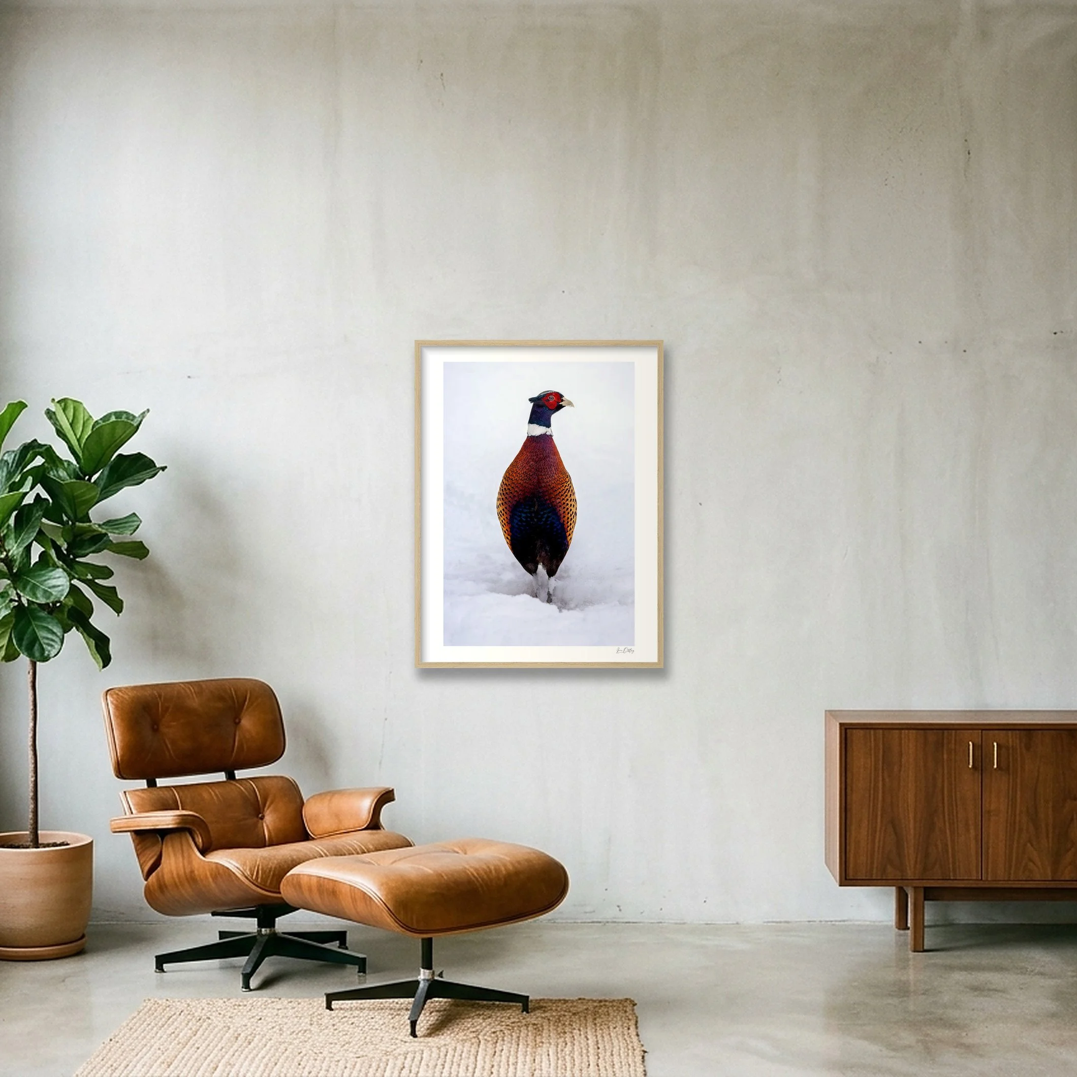 shot_wall_bc92d47a.jpg