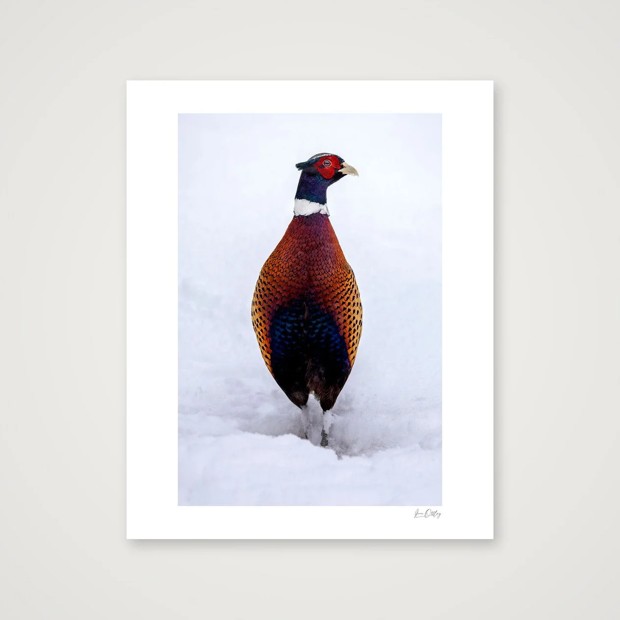 shot_table_df07006f.jpg