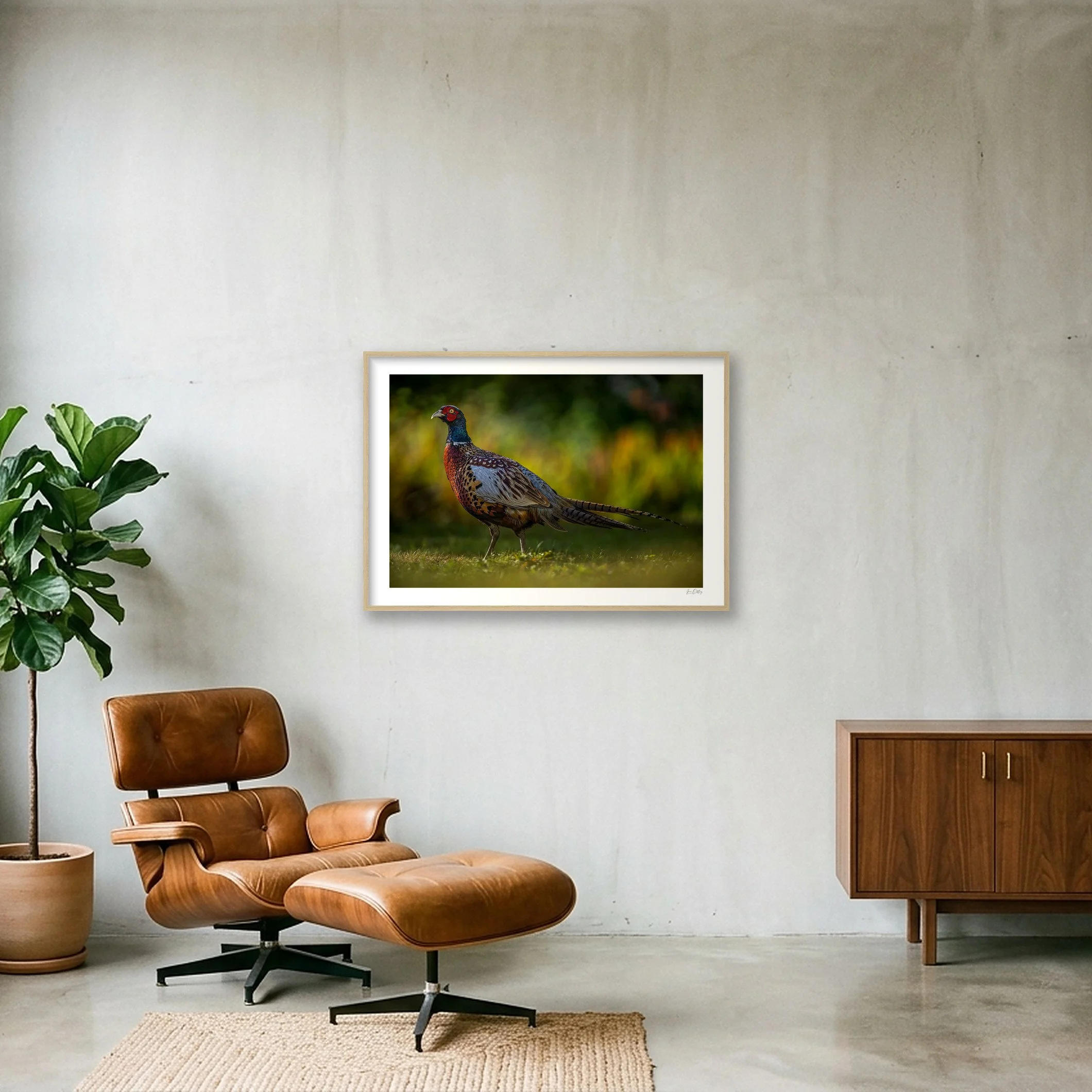 shot_wall_f3e44b5f.jpg