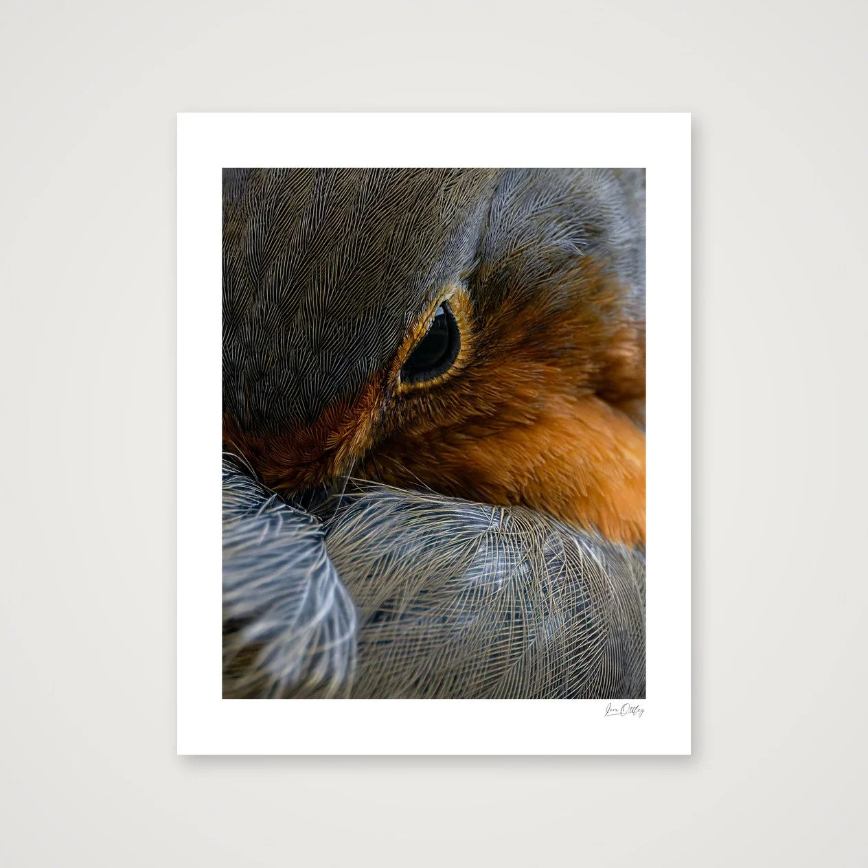 shot_table_87907b5f.jpg