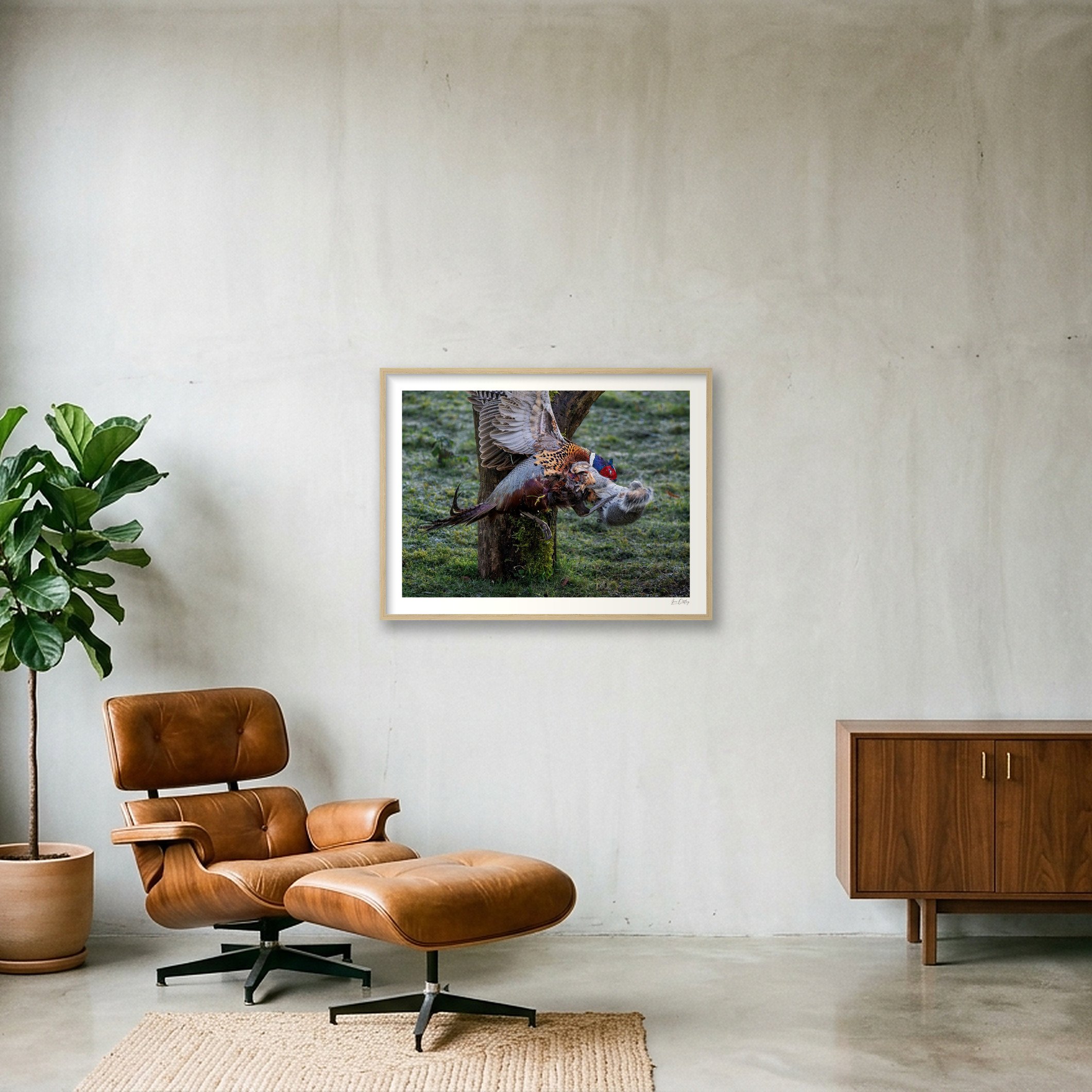 shot_wall_db8113eb.jpg