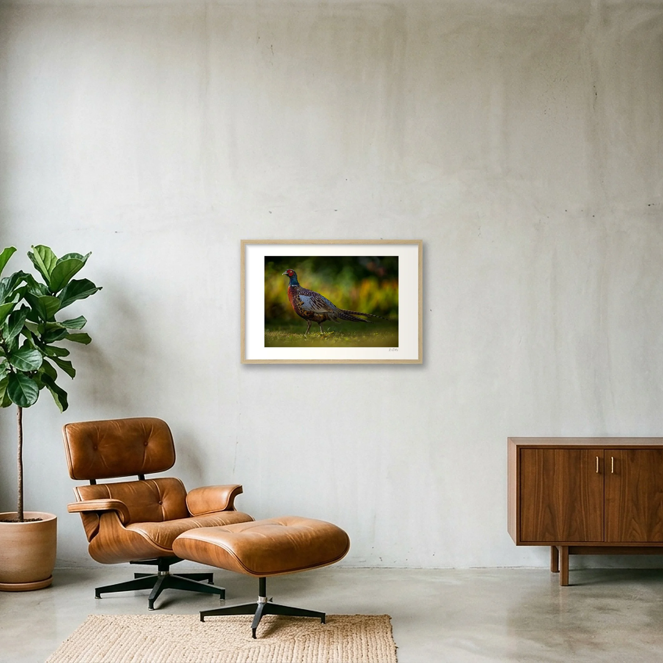 shot_wall_285fc720.jpg