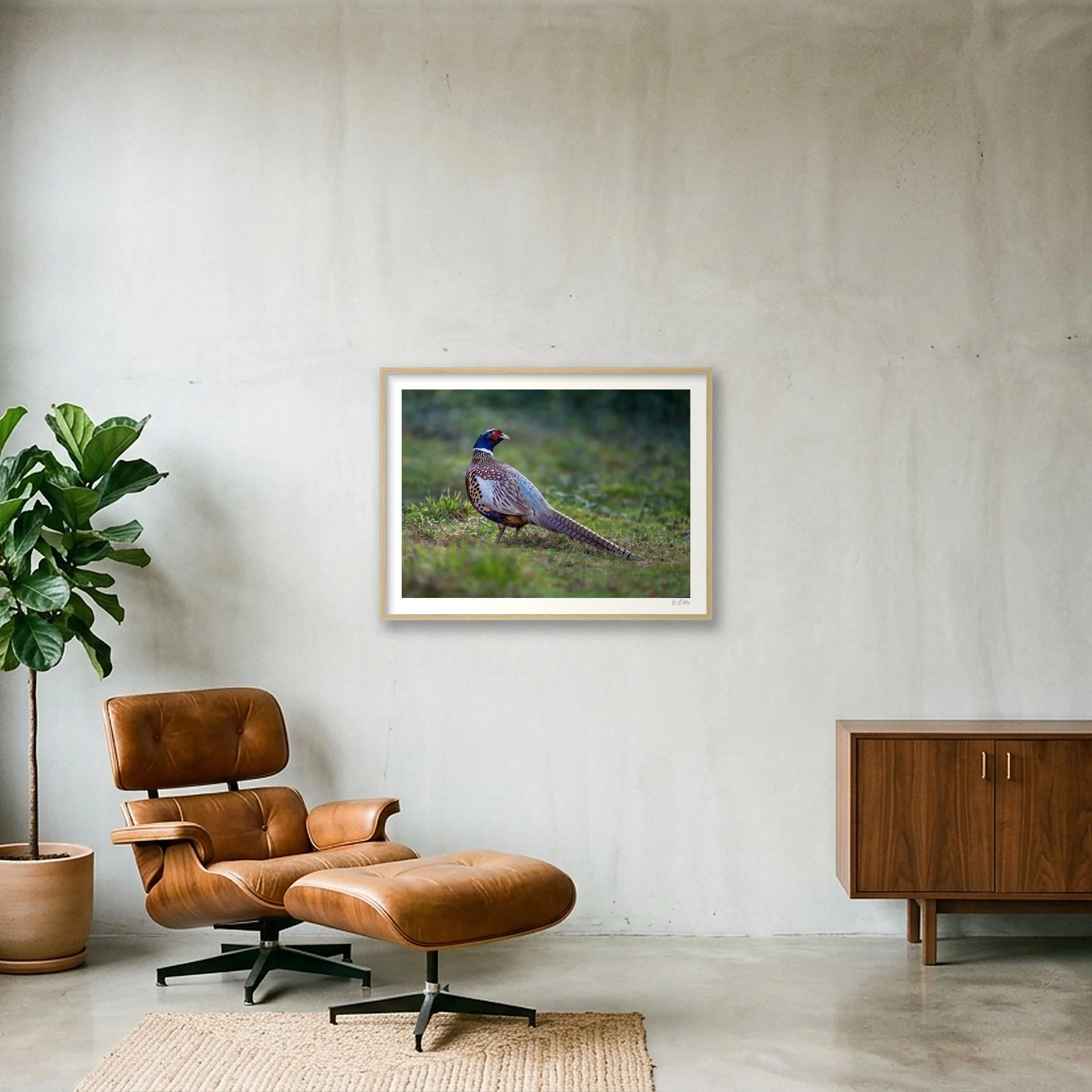 shot_wall_bfd31d40.jpg