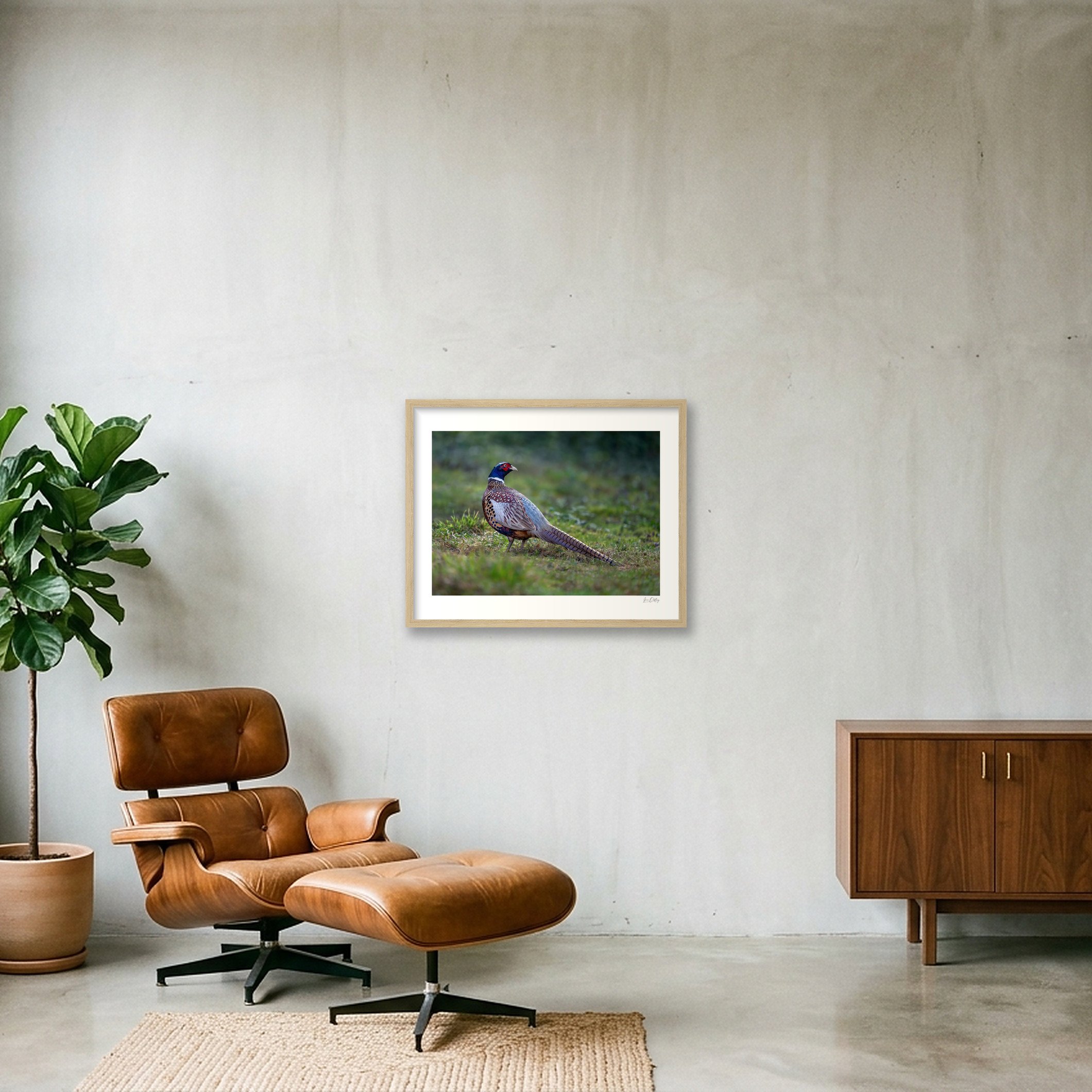 shot_wall_649d0ba4.jpg