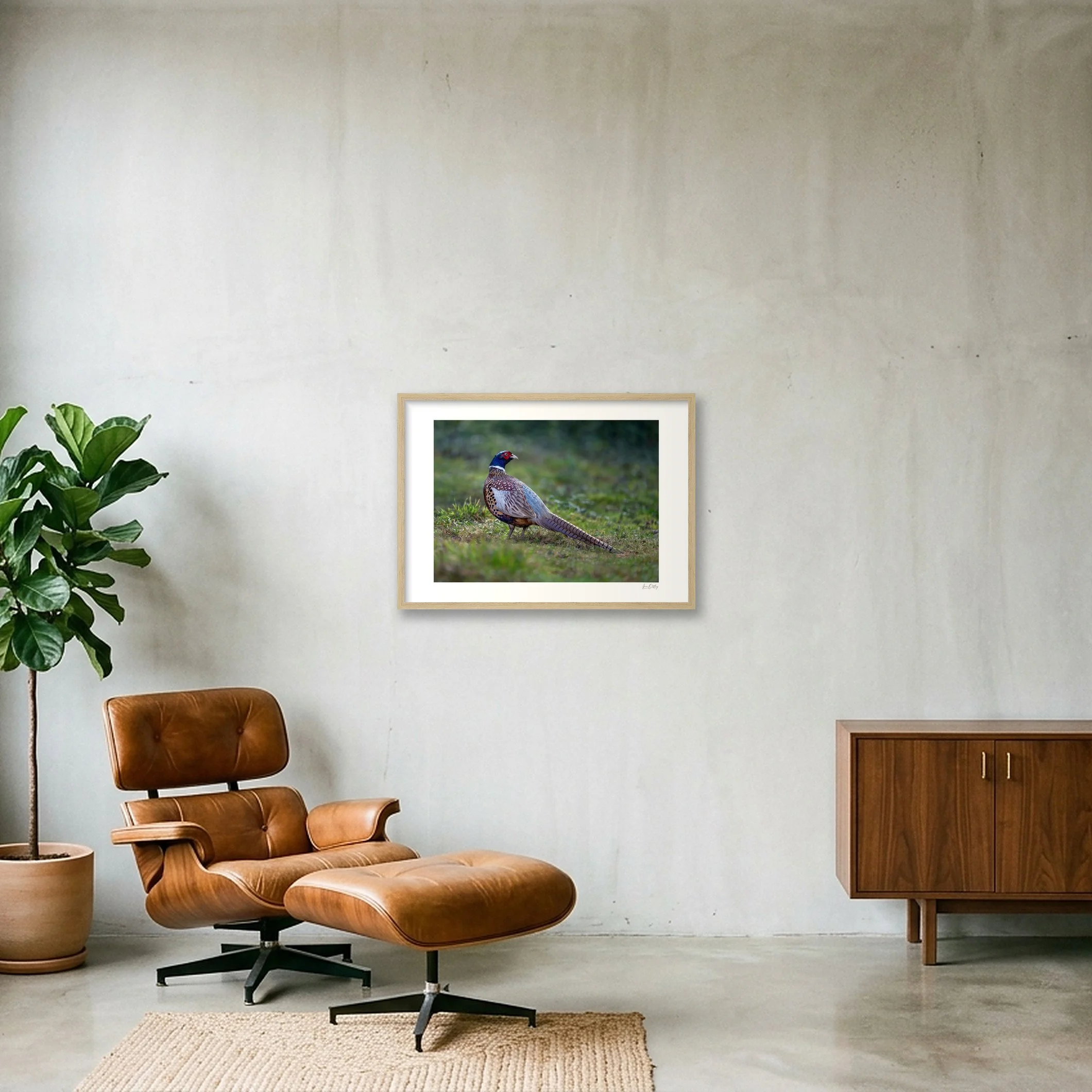 shot_wall_2bcc6909.jpg