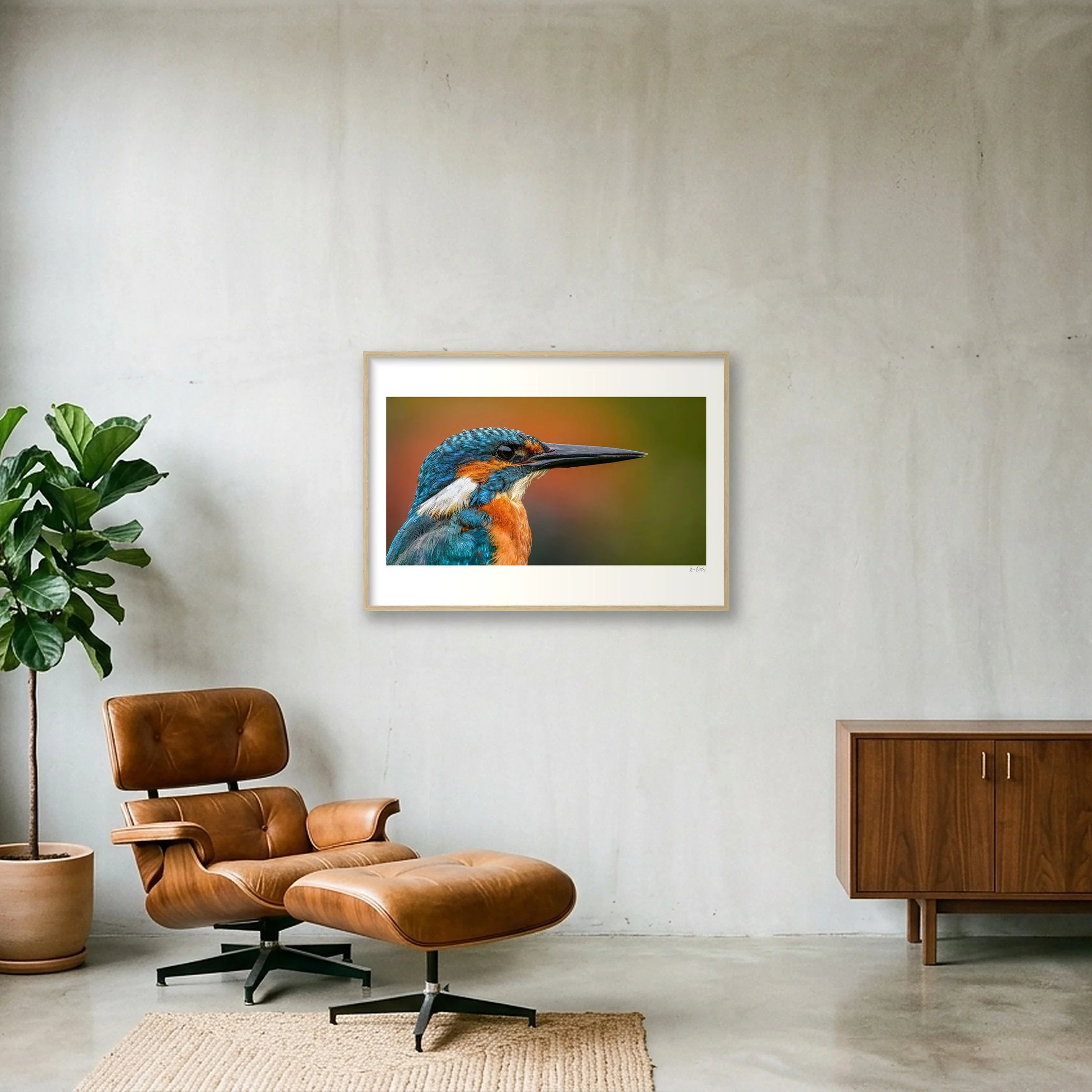 shot_wall_2731d9ef.jpg