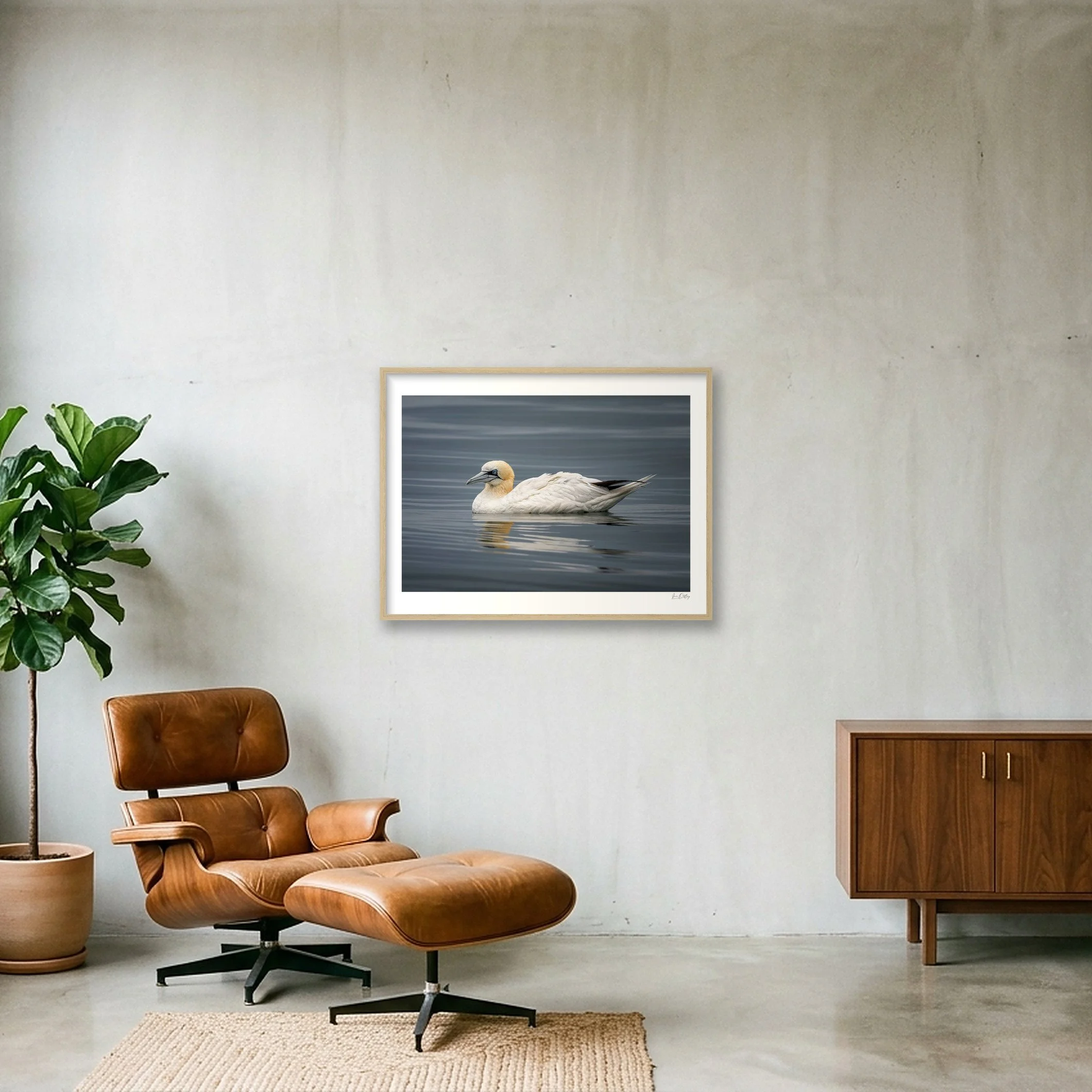 shot_wall_00dd162d.jpg