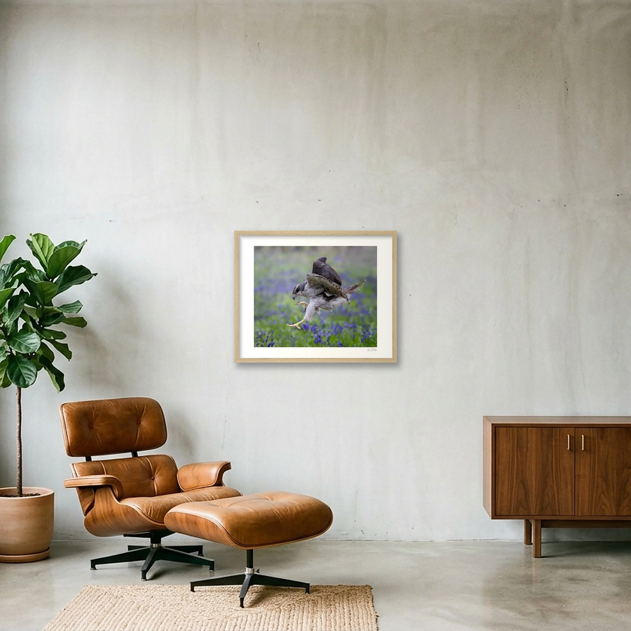 shot_wall_b8b0258c.jpg