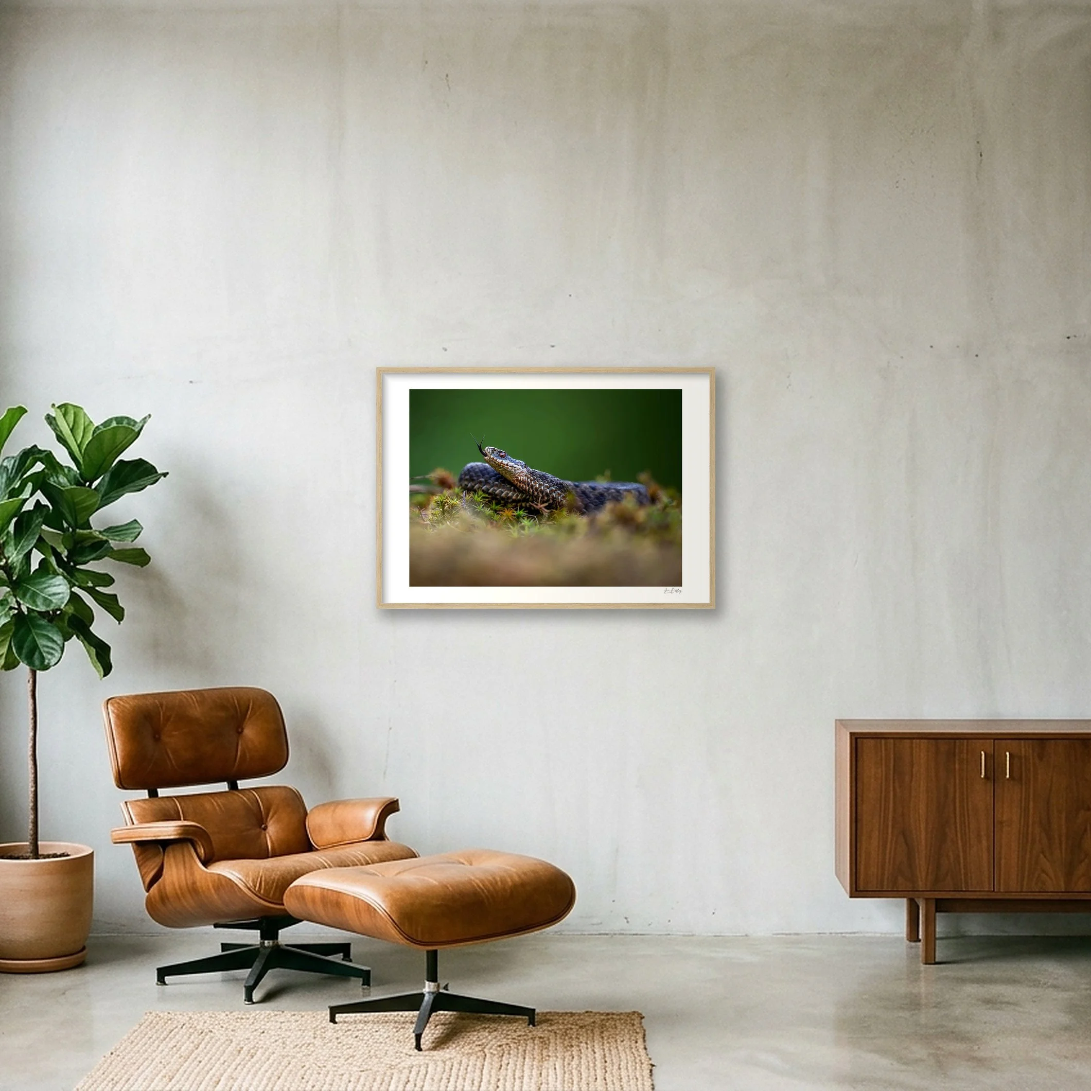 shot_wall_3e5c52ba.jpg