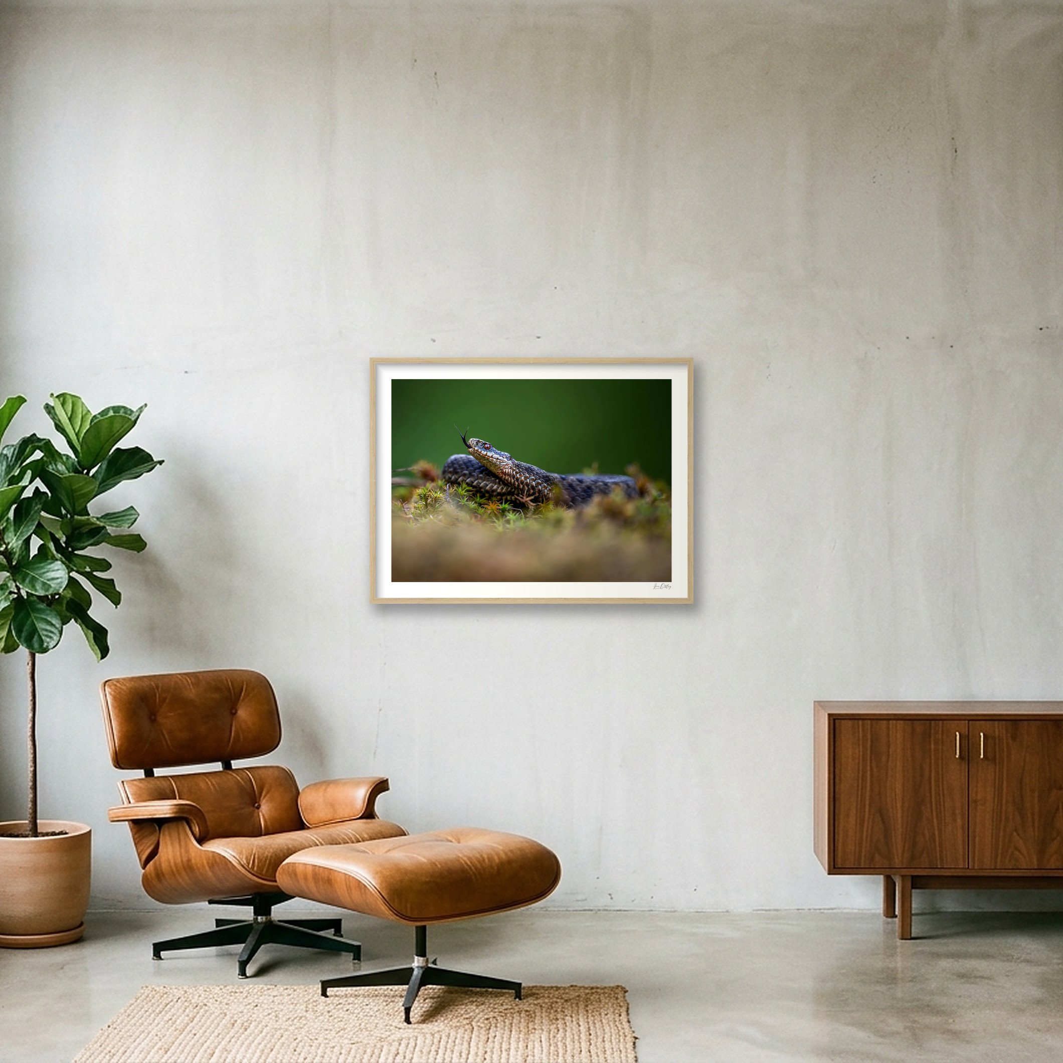 shot_wall_f69fdc87.jpg