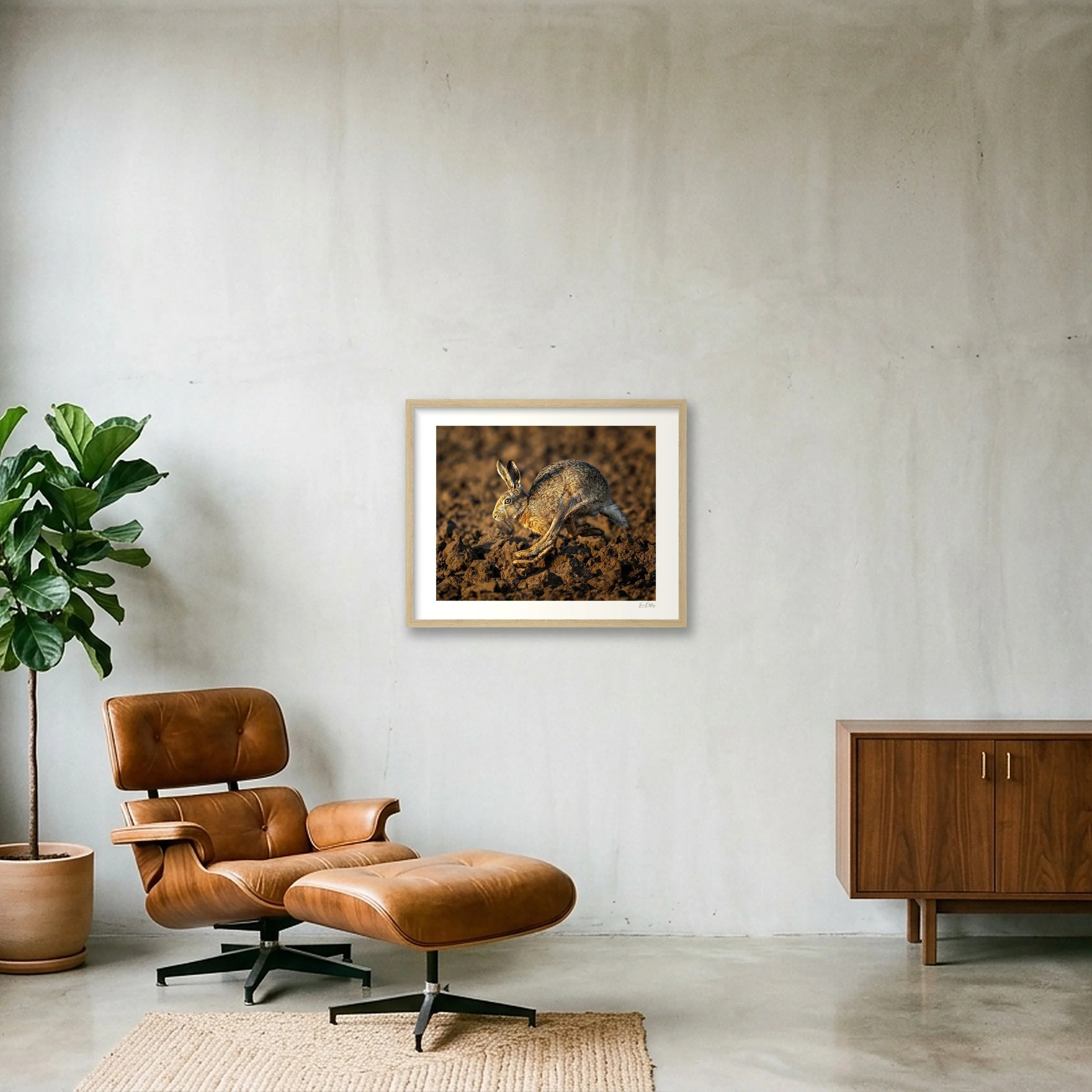 shot_wall_204f5260.jpg