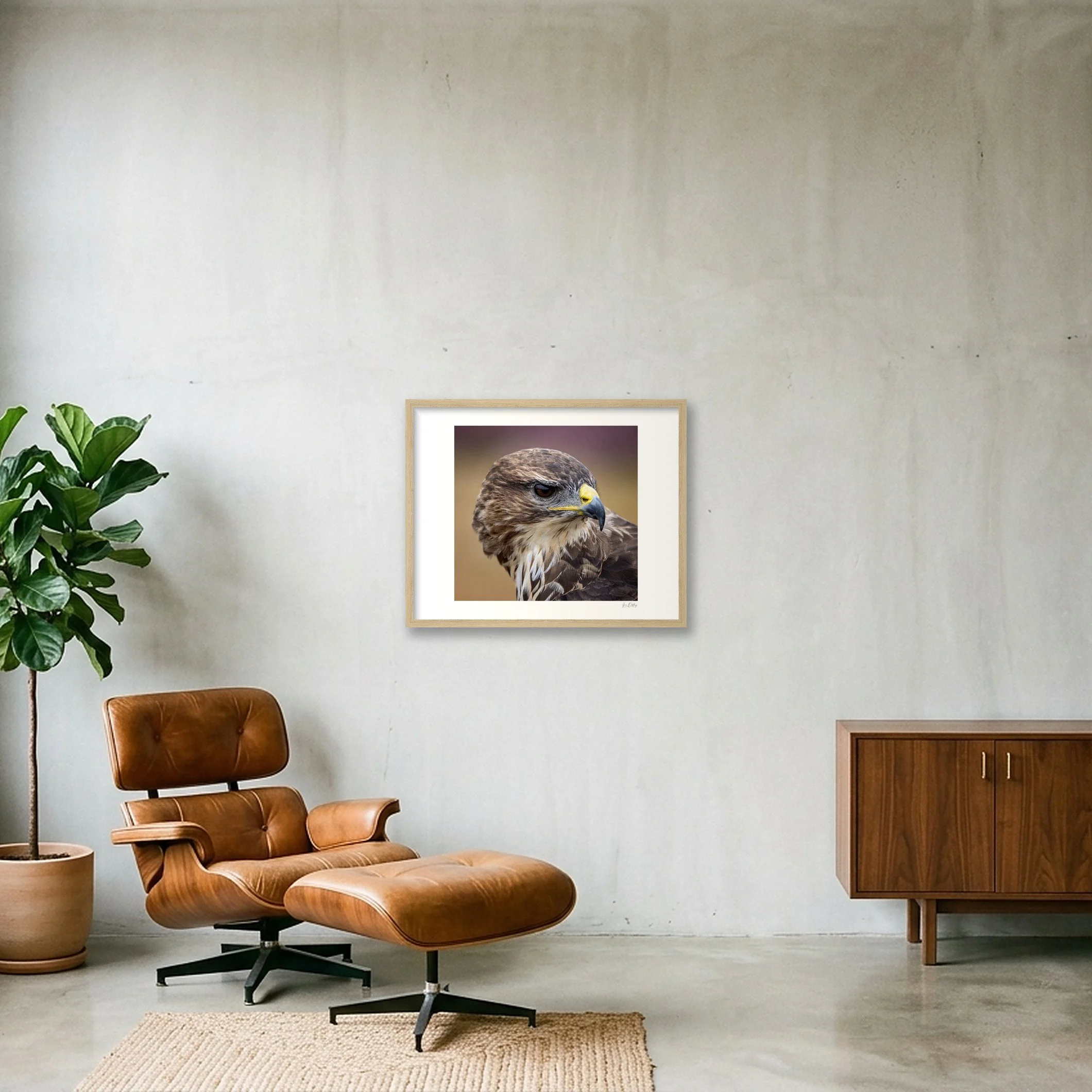 shot_wall_1cd4b50a.jpg