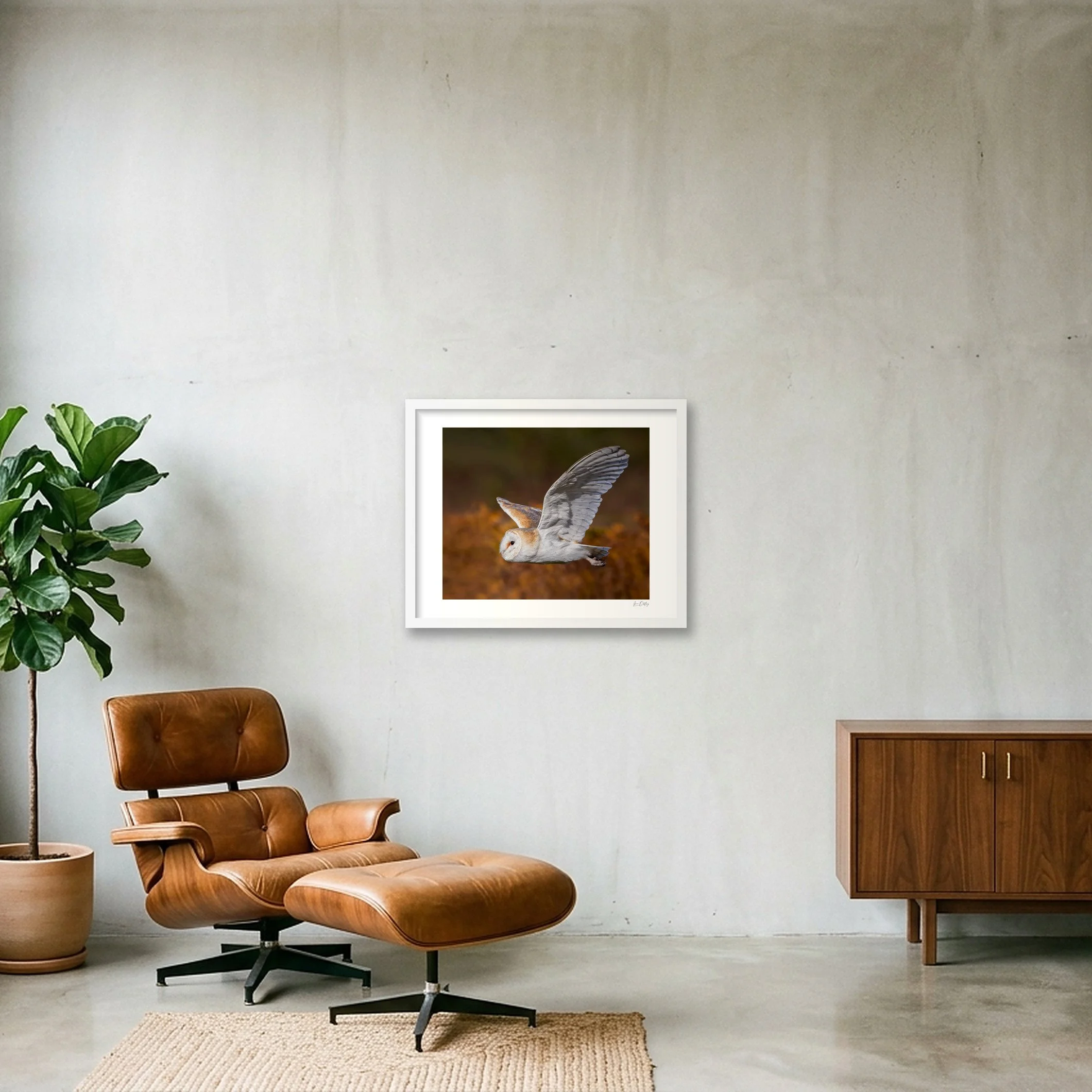 shot_wall_99d52f12.jpg
