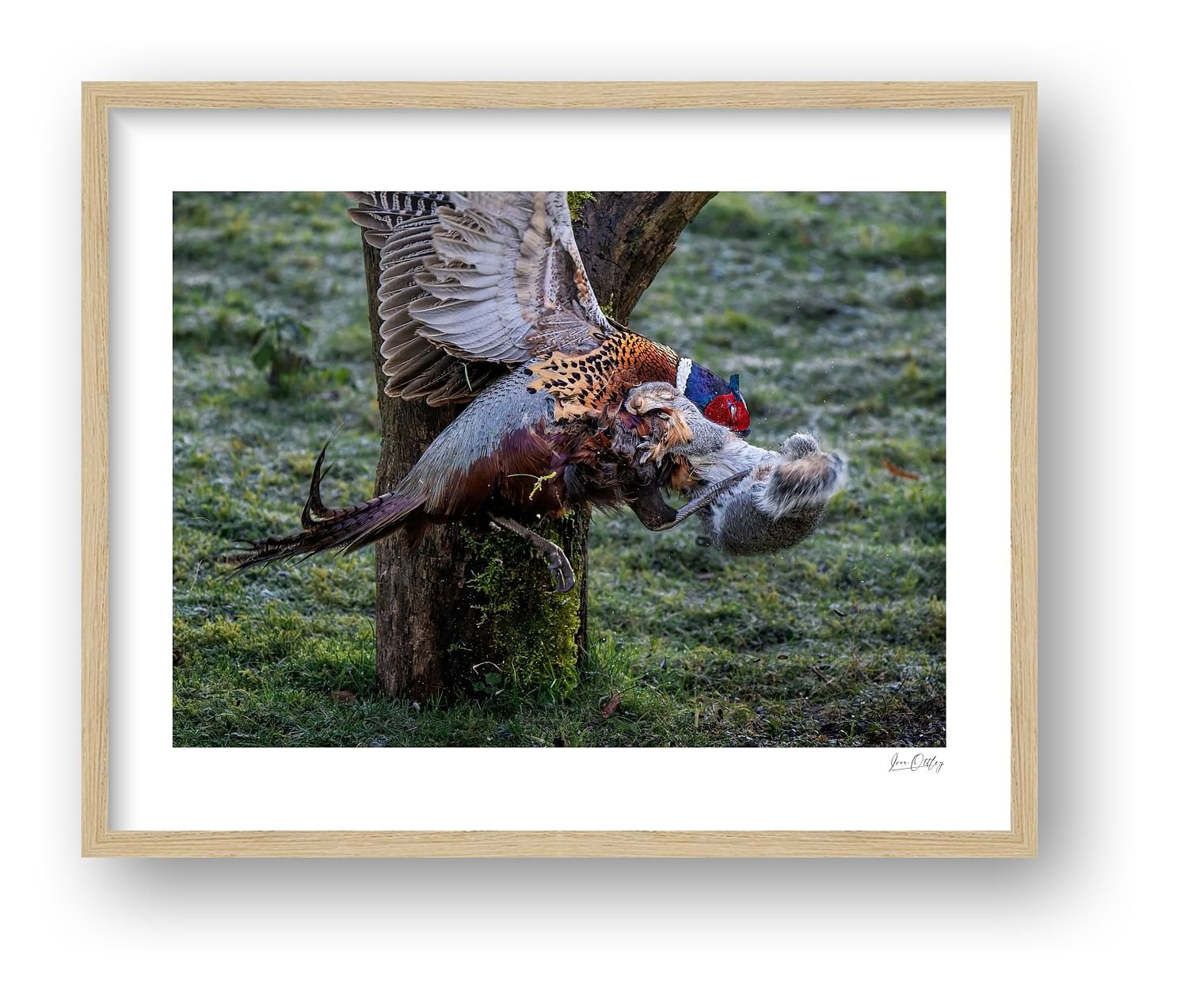 preview_80059f87_82fd3aa6.jpg
