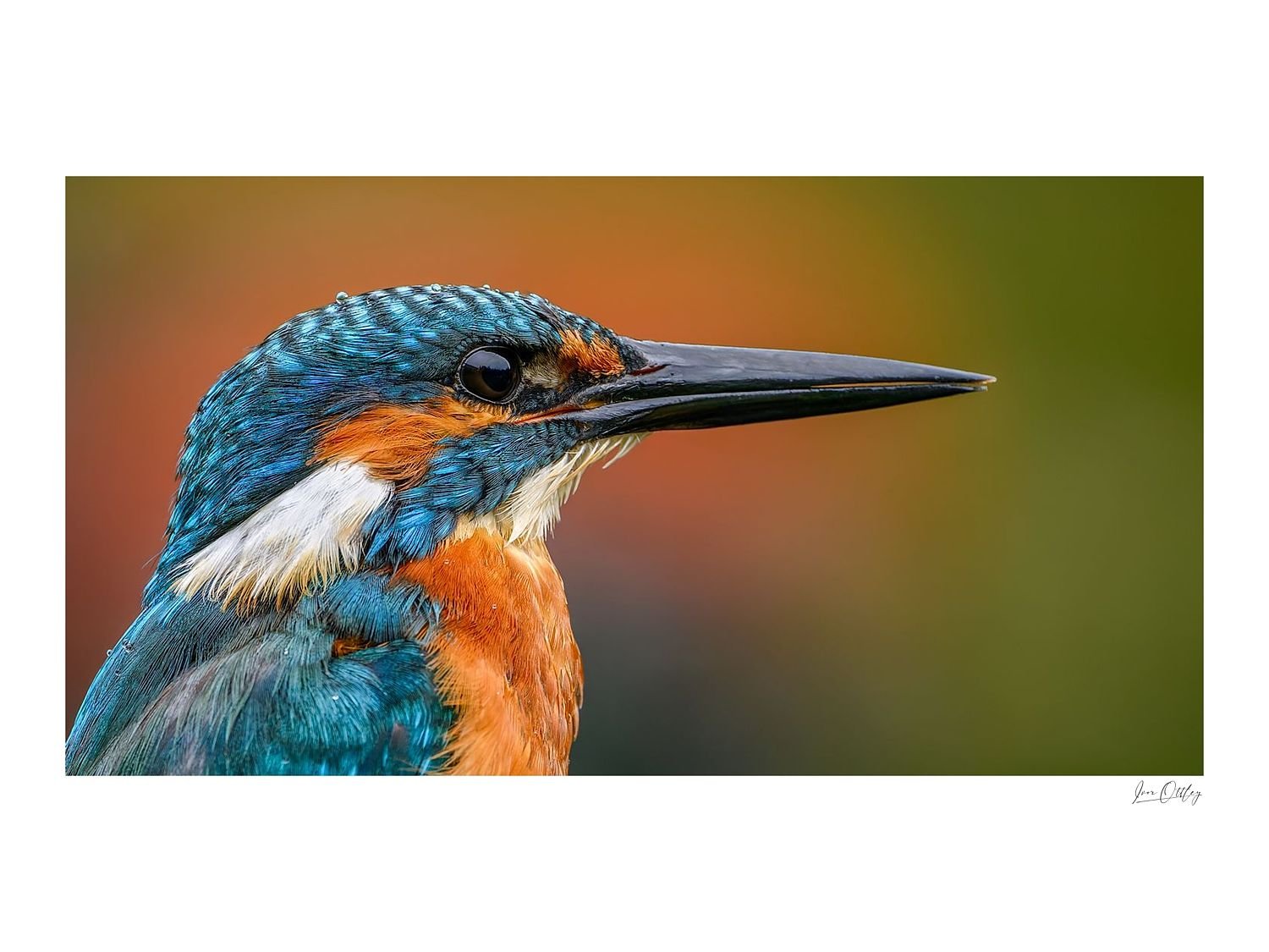 preview_6d7e0b62_8003e856.jpg