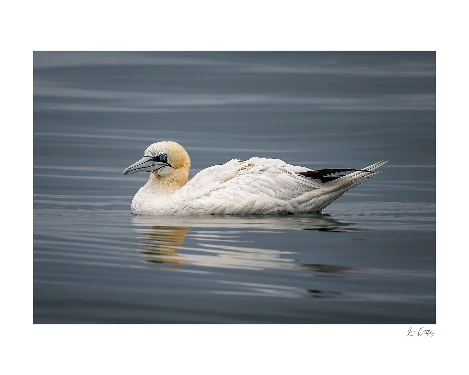 preview_fc8538f5_d7cbe690.jpg