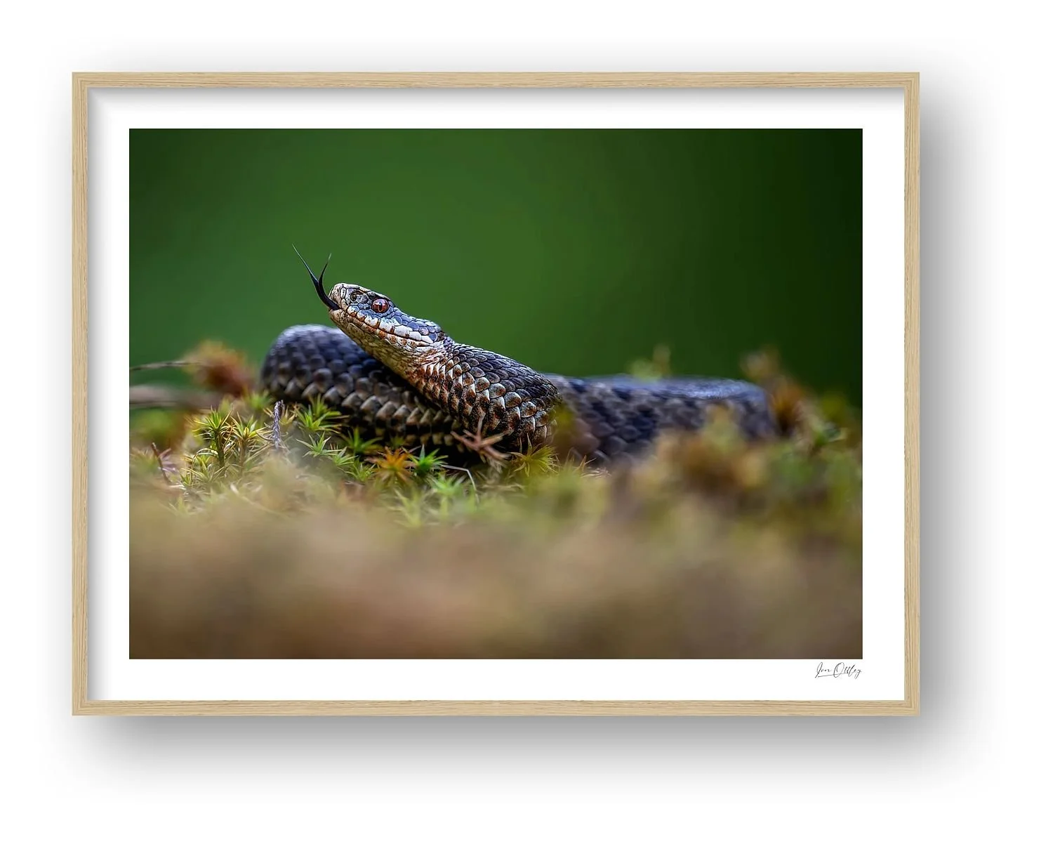 preview_f69fdc87_08fde984.jpg