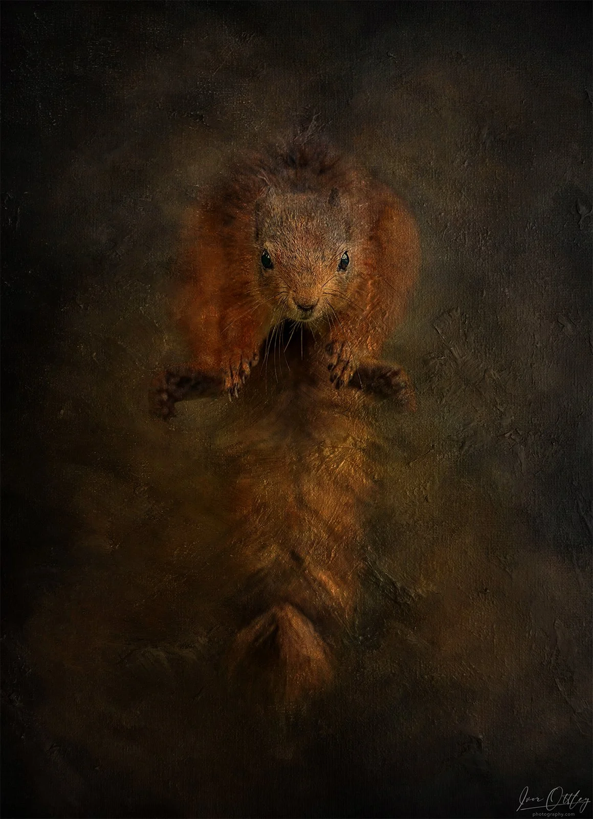Texture FINAL Jumping squirrel-14th June 2025_.jpg