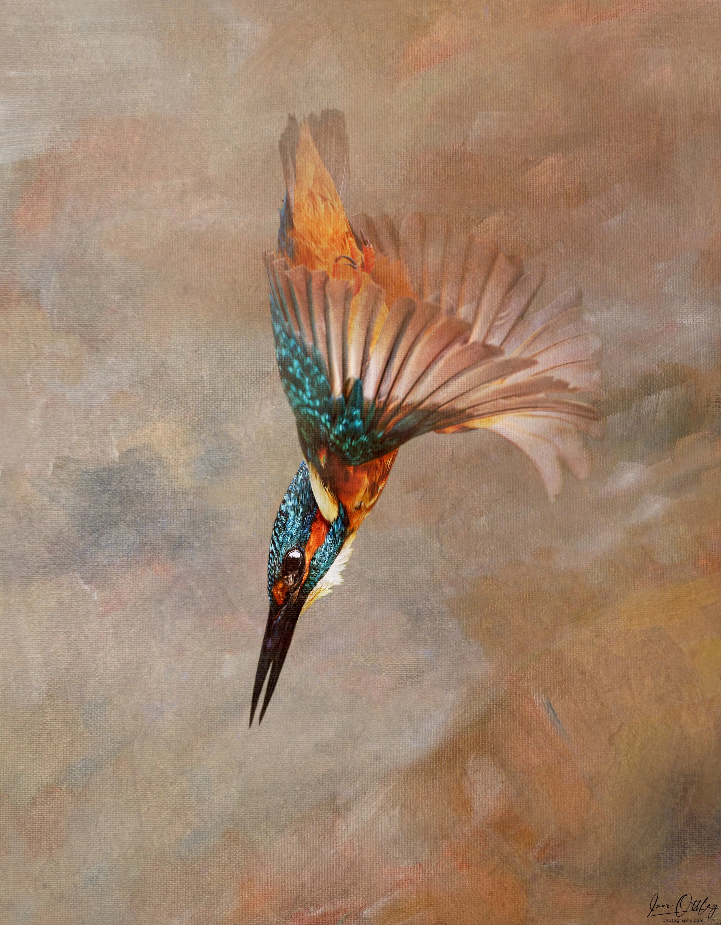 Texture Final New Kingfisher texture2078.jpg