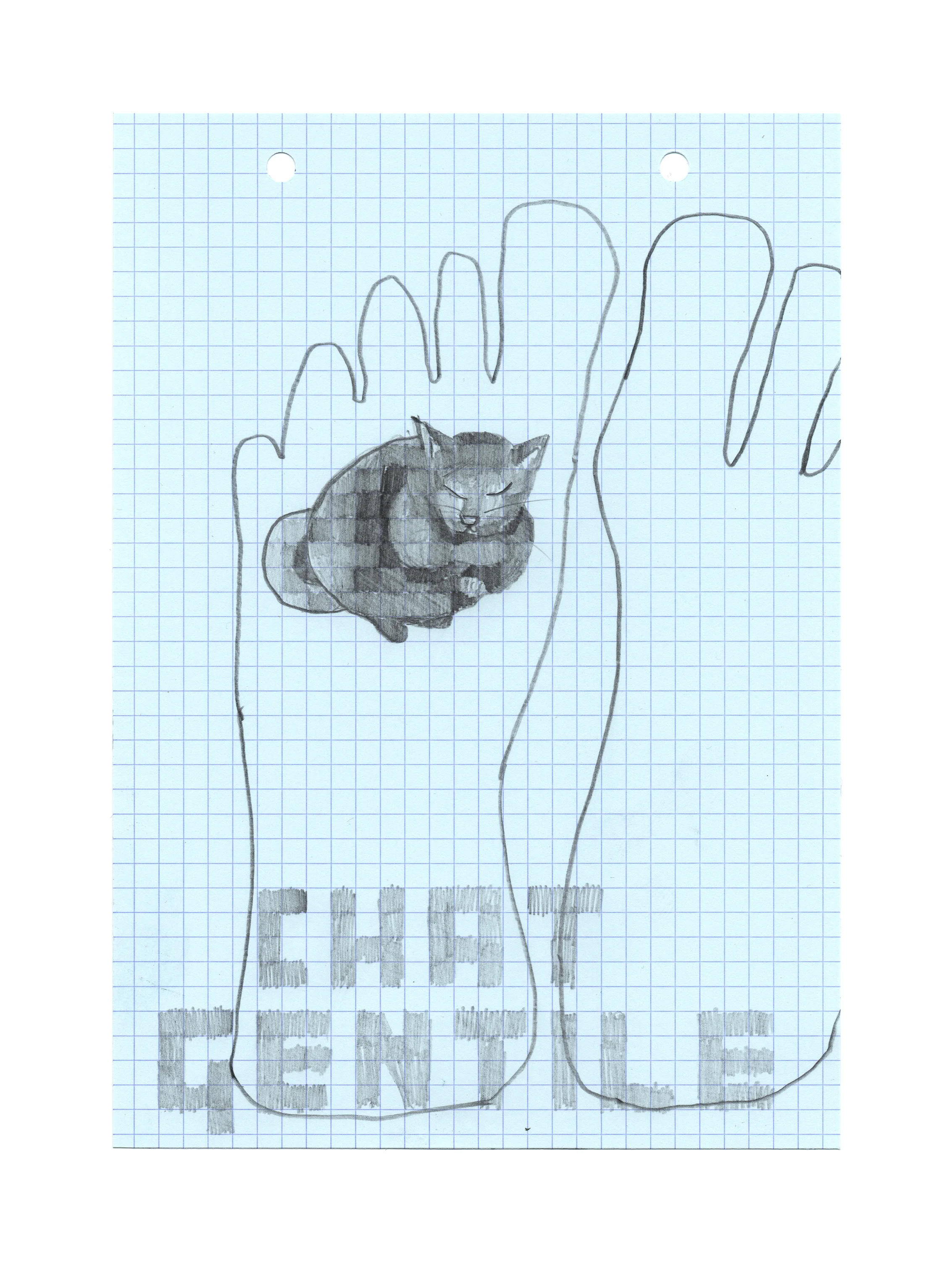 Chat Gentile.jpg