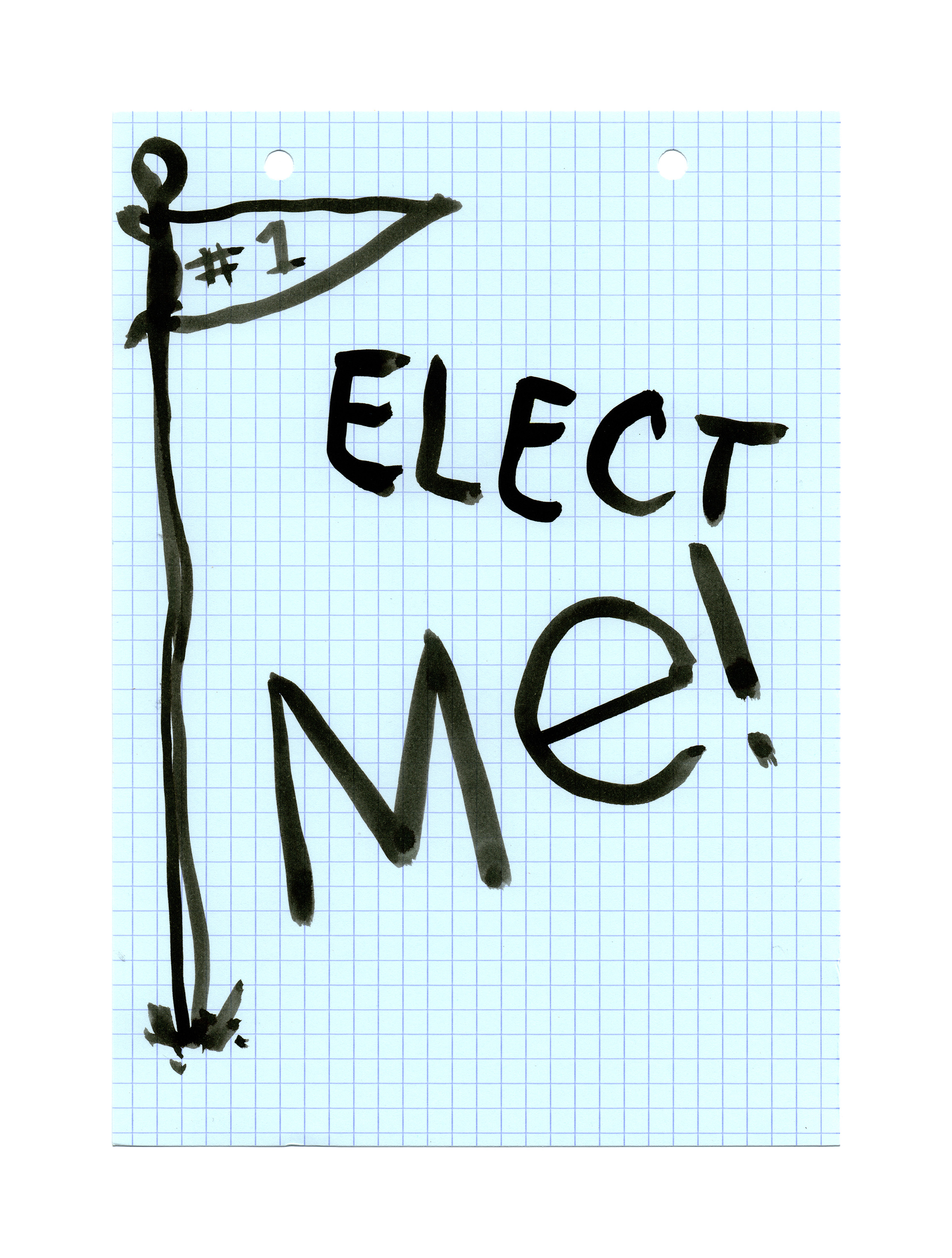 Elect Me.jpg