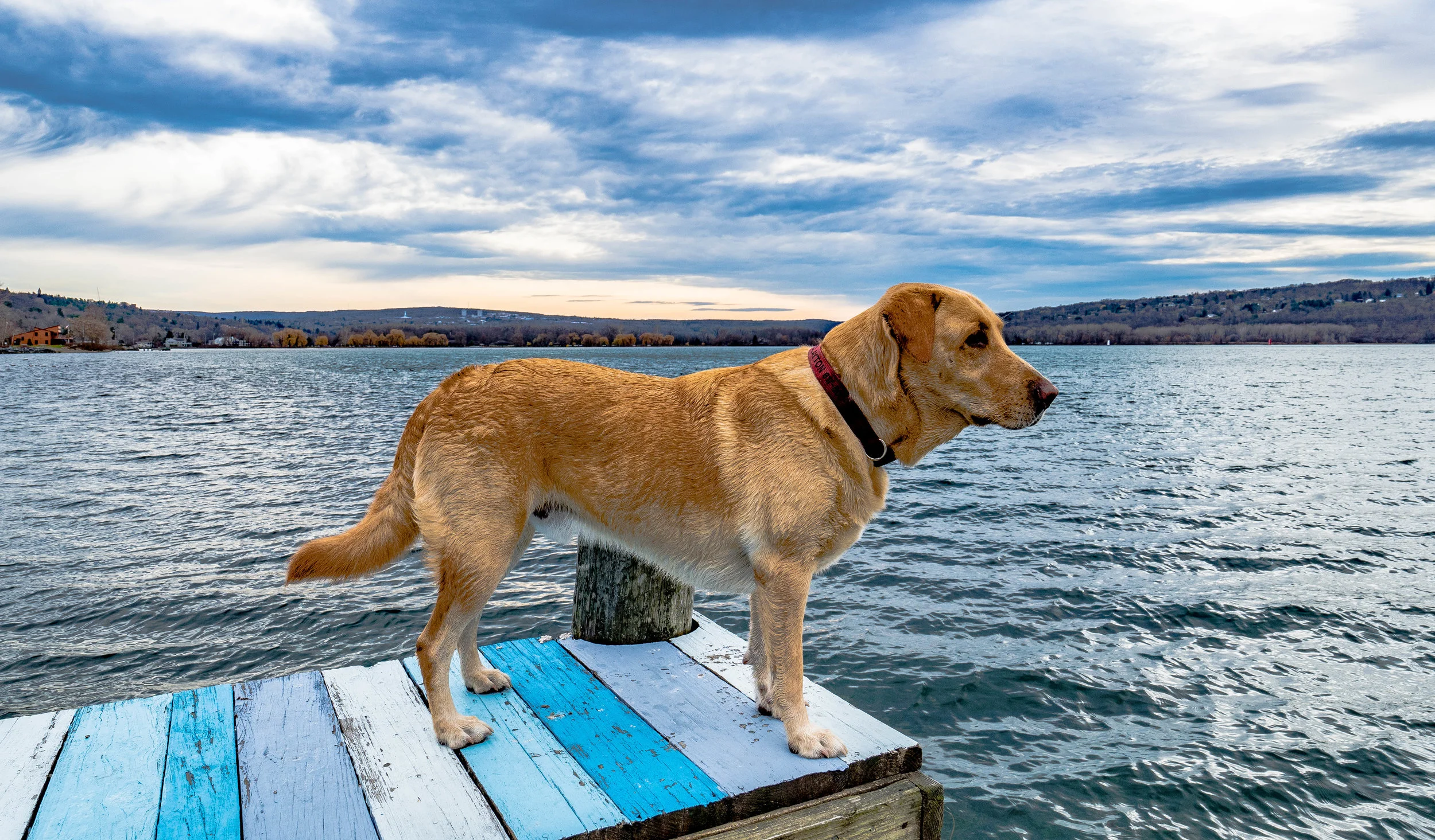 Cayuga Lake - Ithaca, NY
