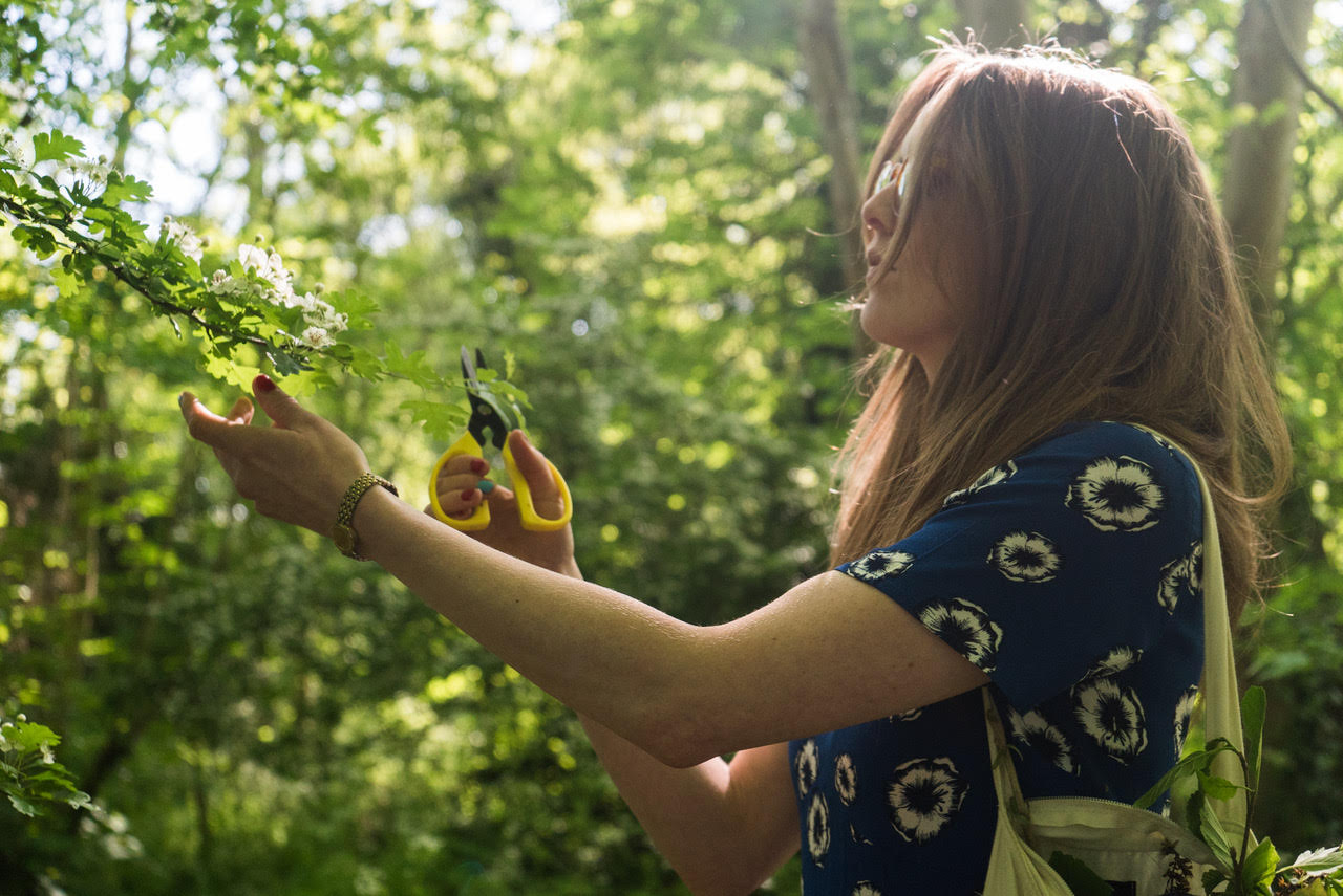 Foraging, Twickenham