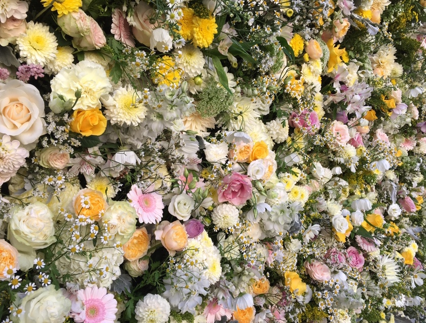 Flower_wall_Syon_Park.jpg