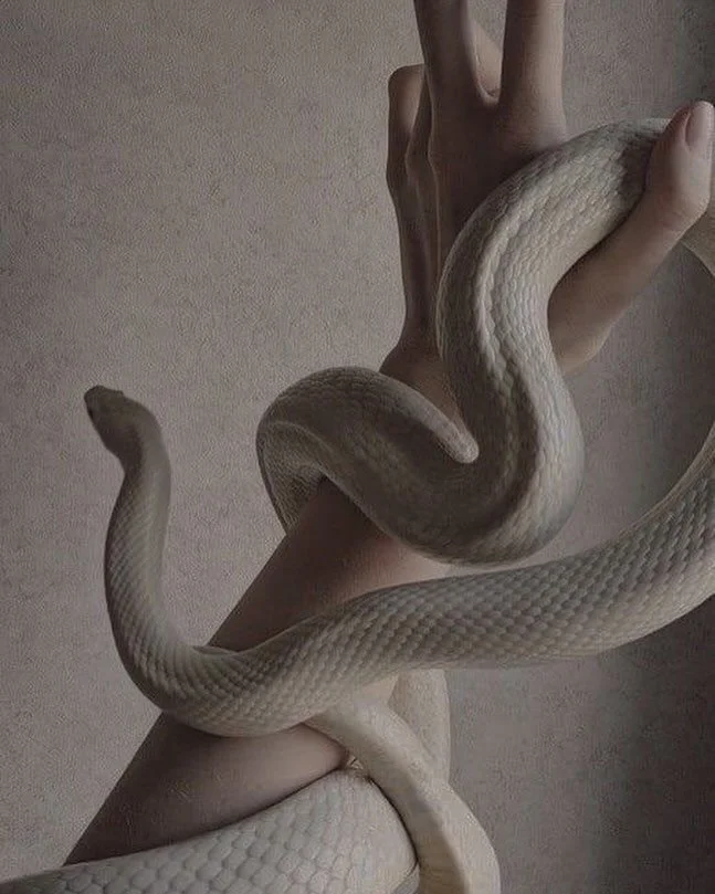 &ldquo;Naga means something... which can go where nothing can go. Like Raga, this Sun energy reaches where nothing else can reach...&rdquo; 🐍✨

Happy Lunar New Year &amp; Year of the Snake&mdash;a time for deep transformation, subtle power, and unse