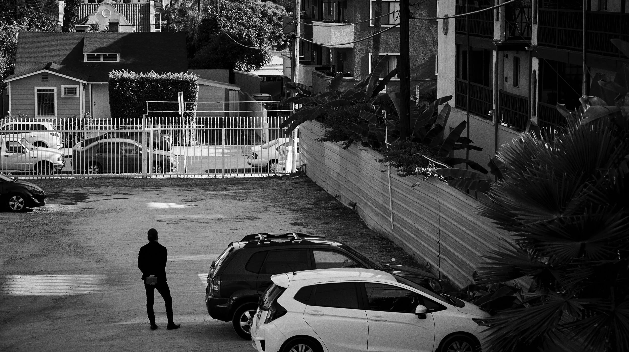 David M__CPA5356.jpeg