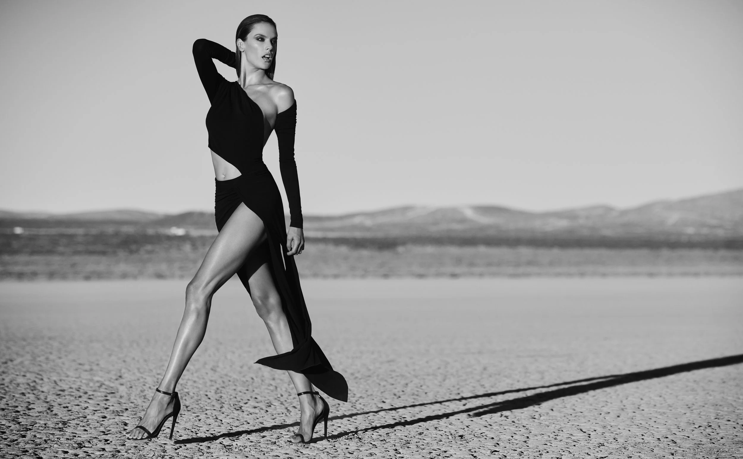 08_GRAPHIC_0450f1 1.jpg