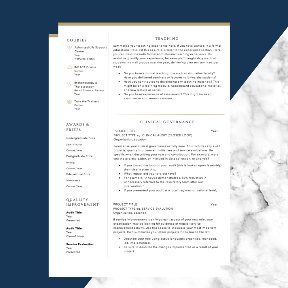 Professional Cv Template Grandison Portfolios