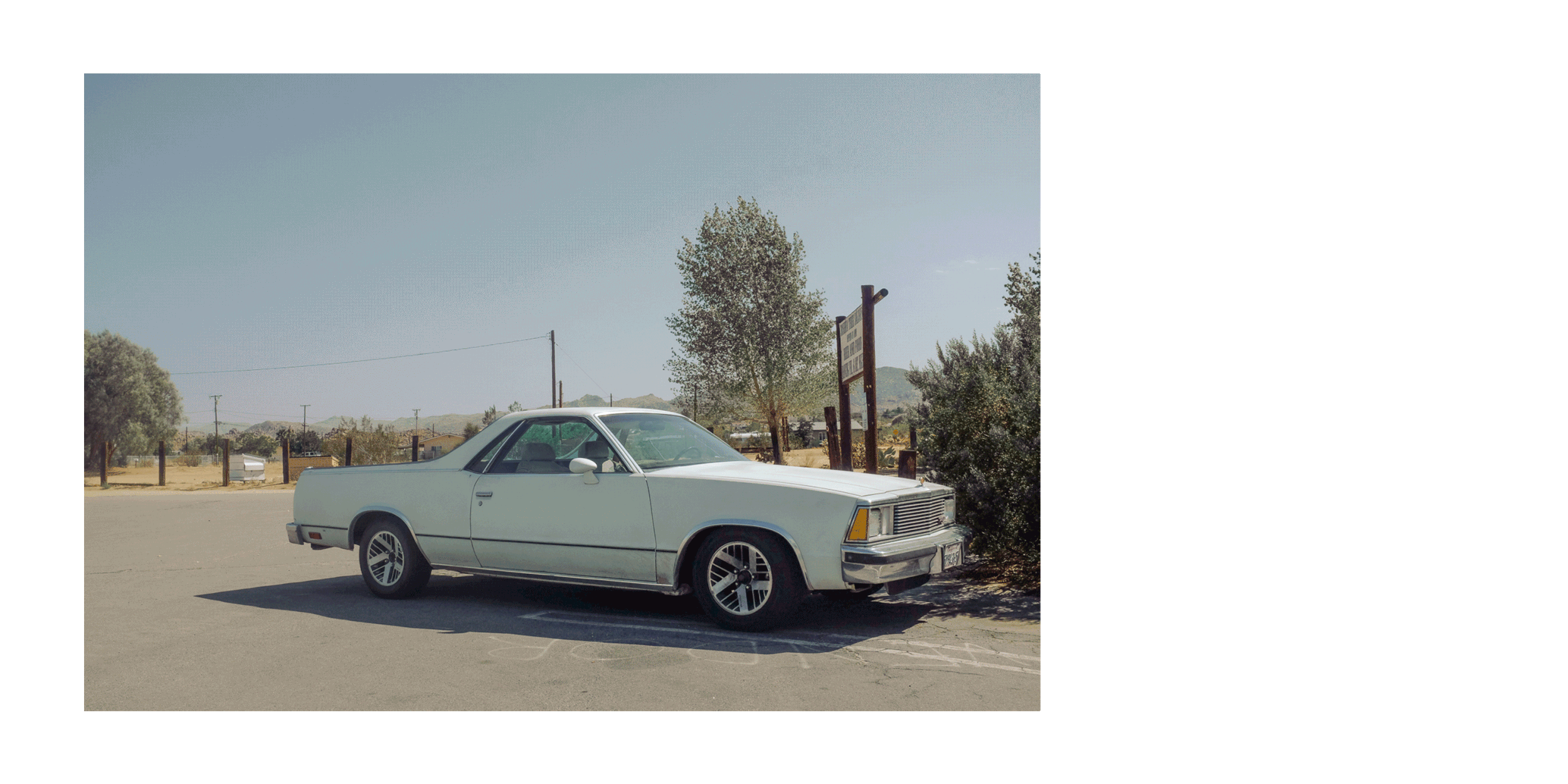 Untitled-4.gif