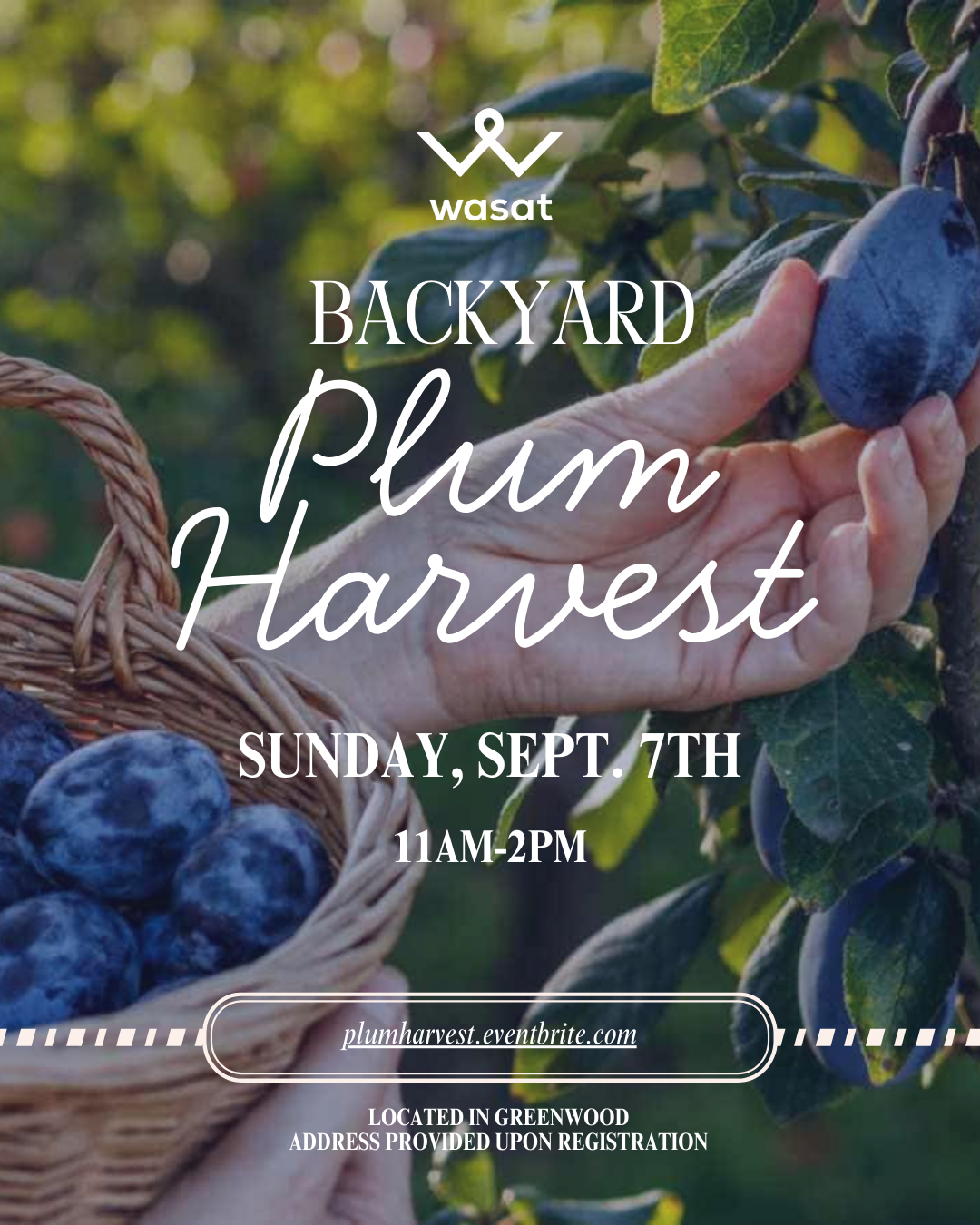 Plum Picking Party