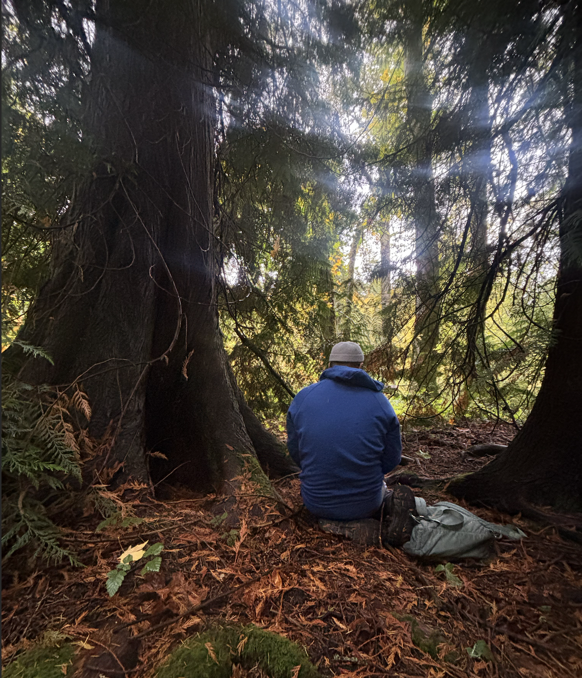 The Original A.I. (Allah’s Intelligence) — Souhbah &amp; the Secrets of Trees @ Seward Park