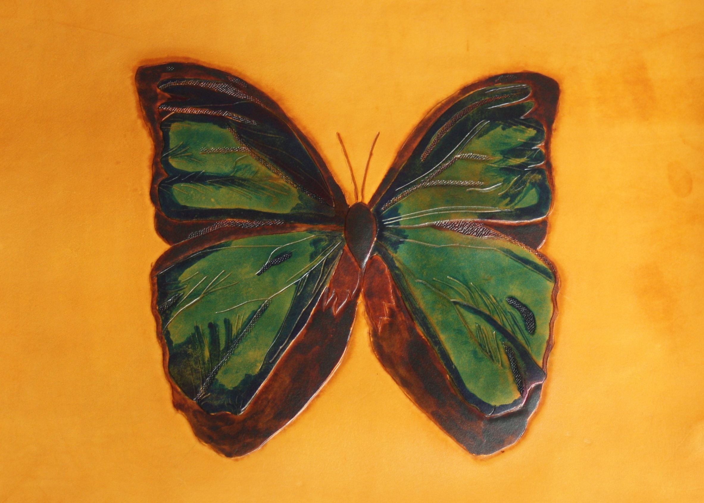 Peruvian Butterfly 