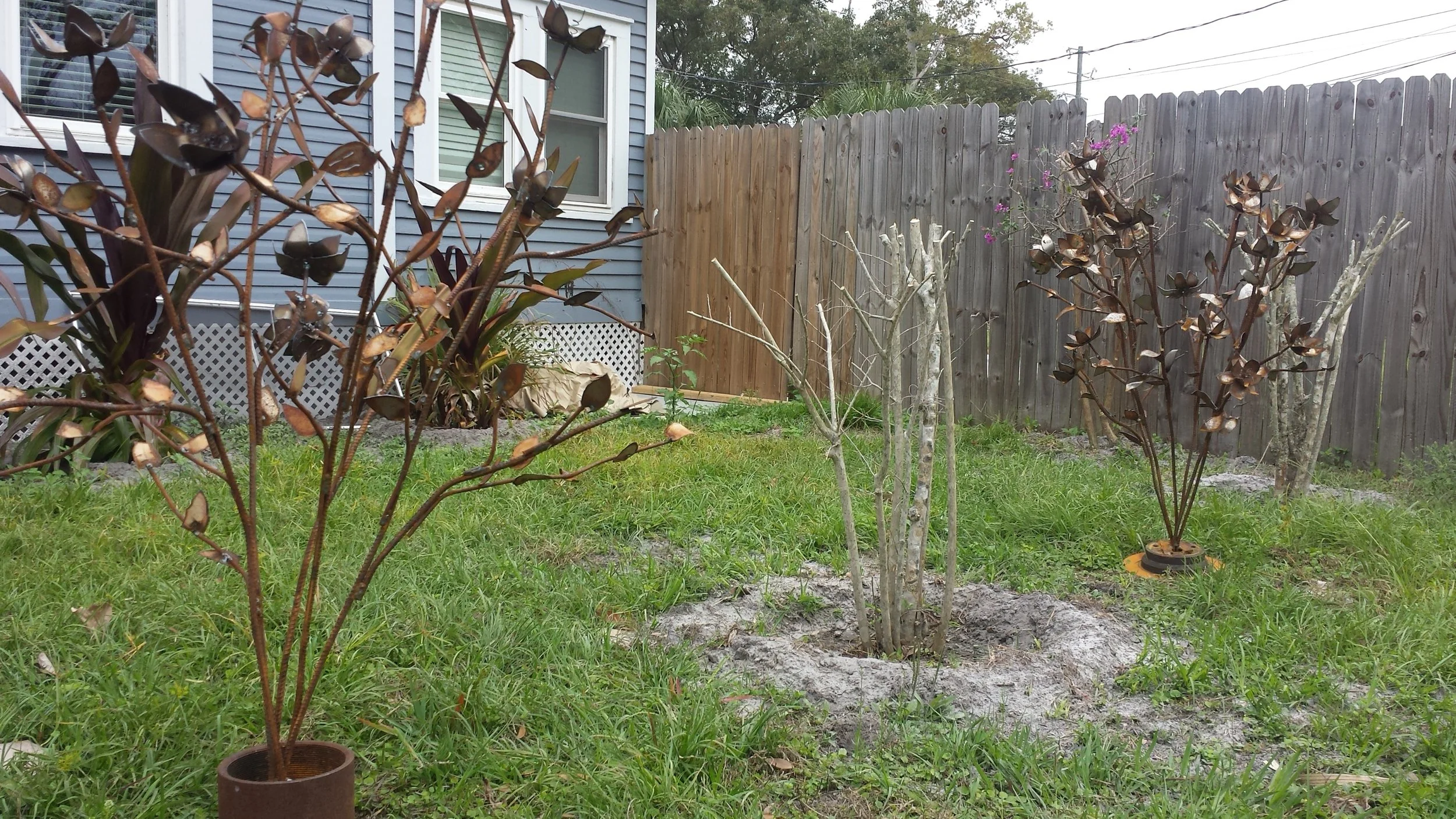 20150307_095733.jpg
