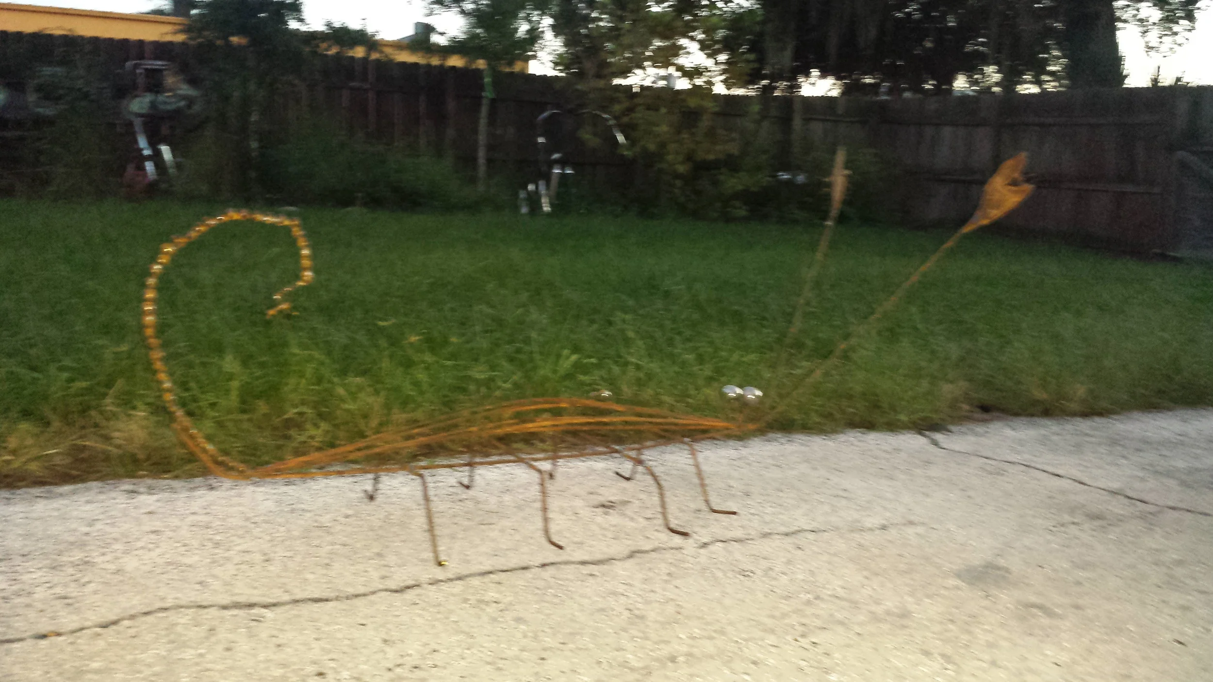 20141001_192350.jpg