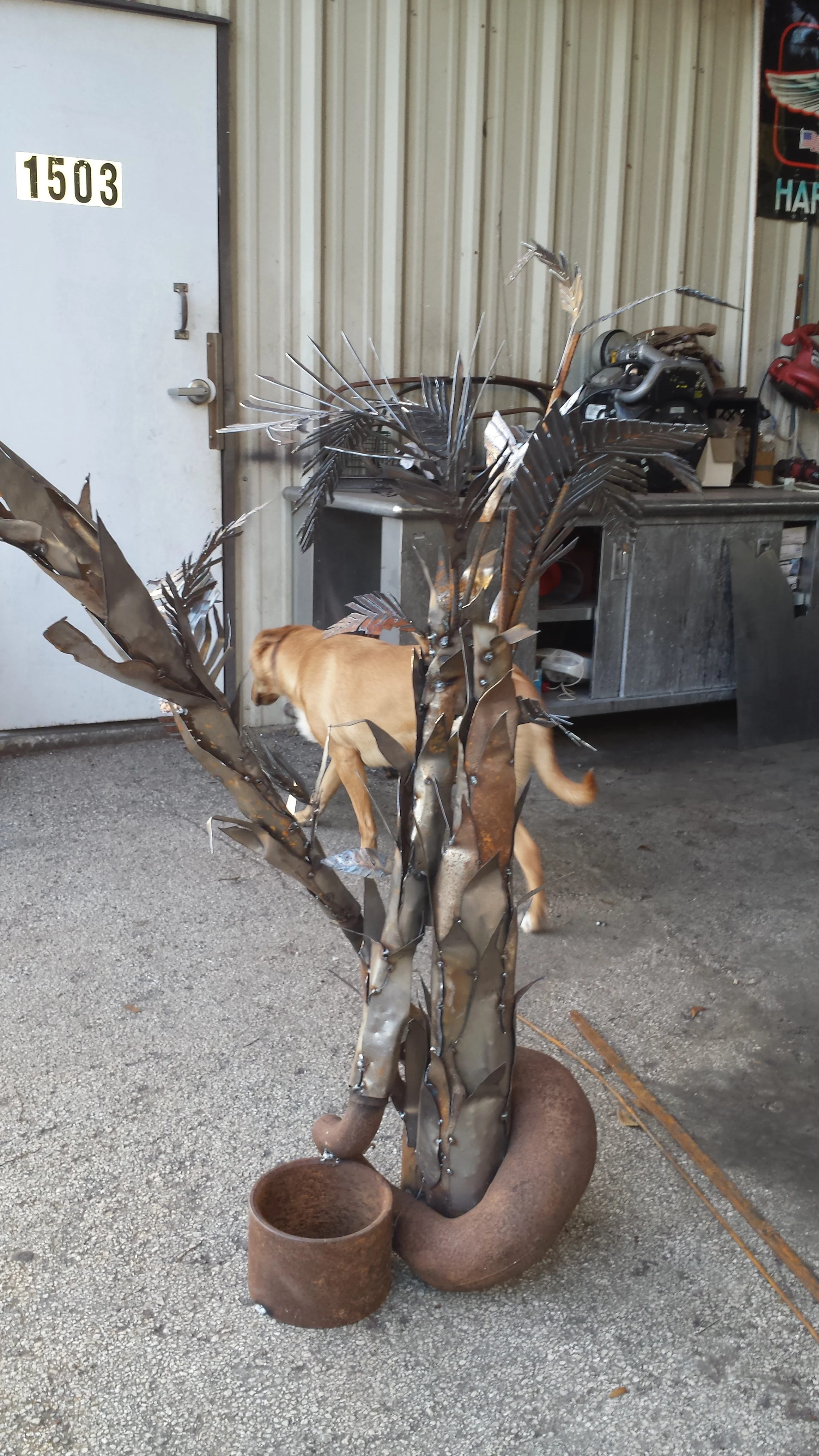 20150117_172744.jpg