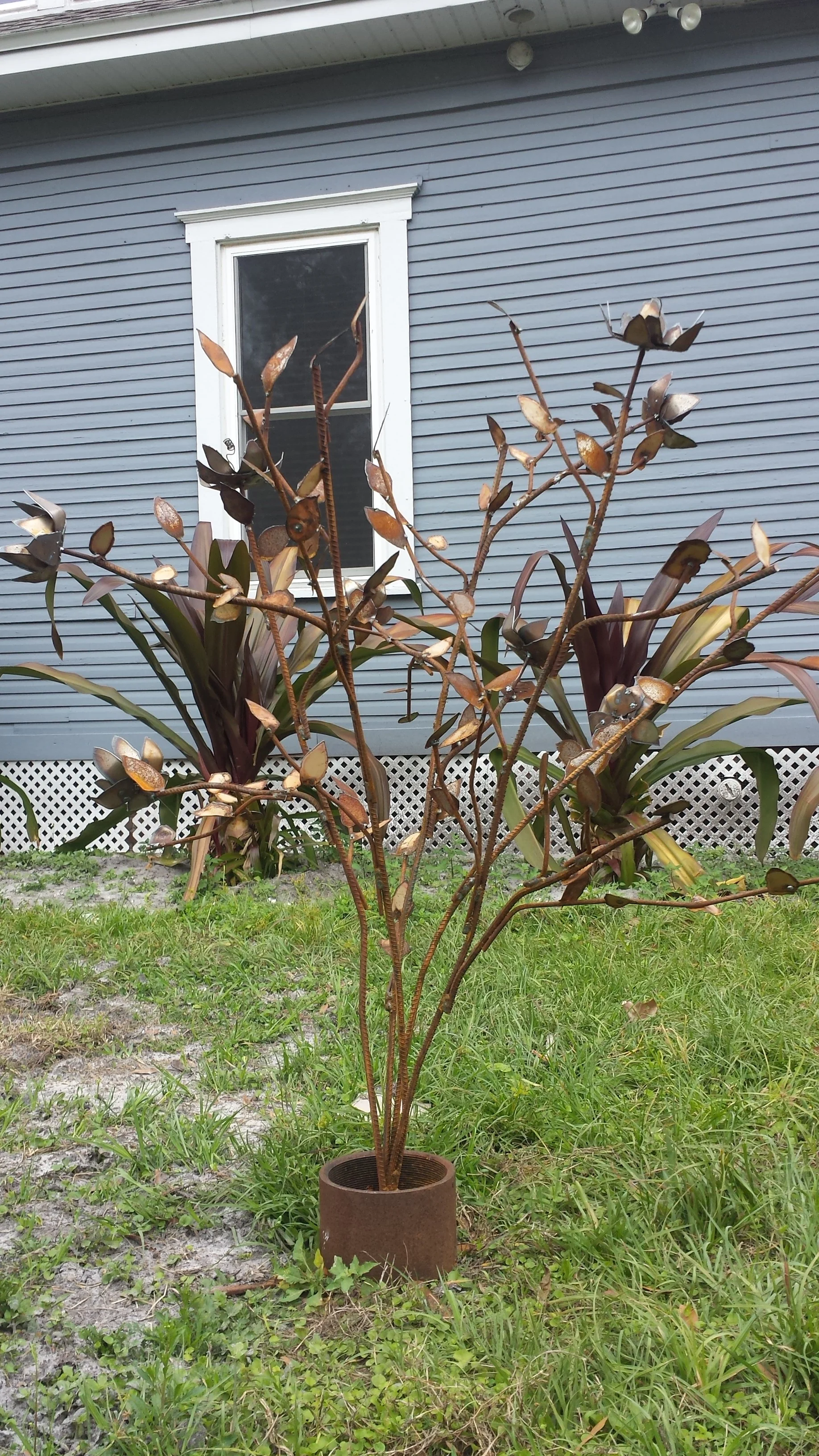 20150307_095744.jpg