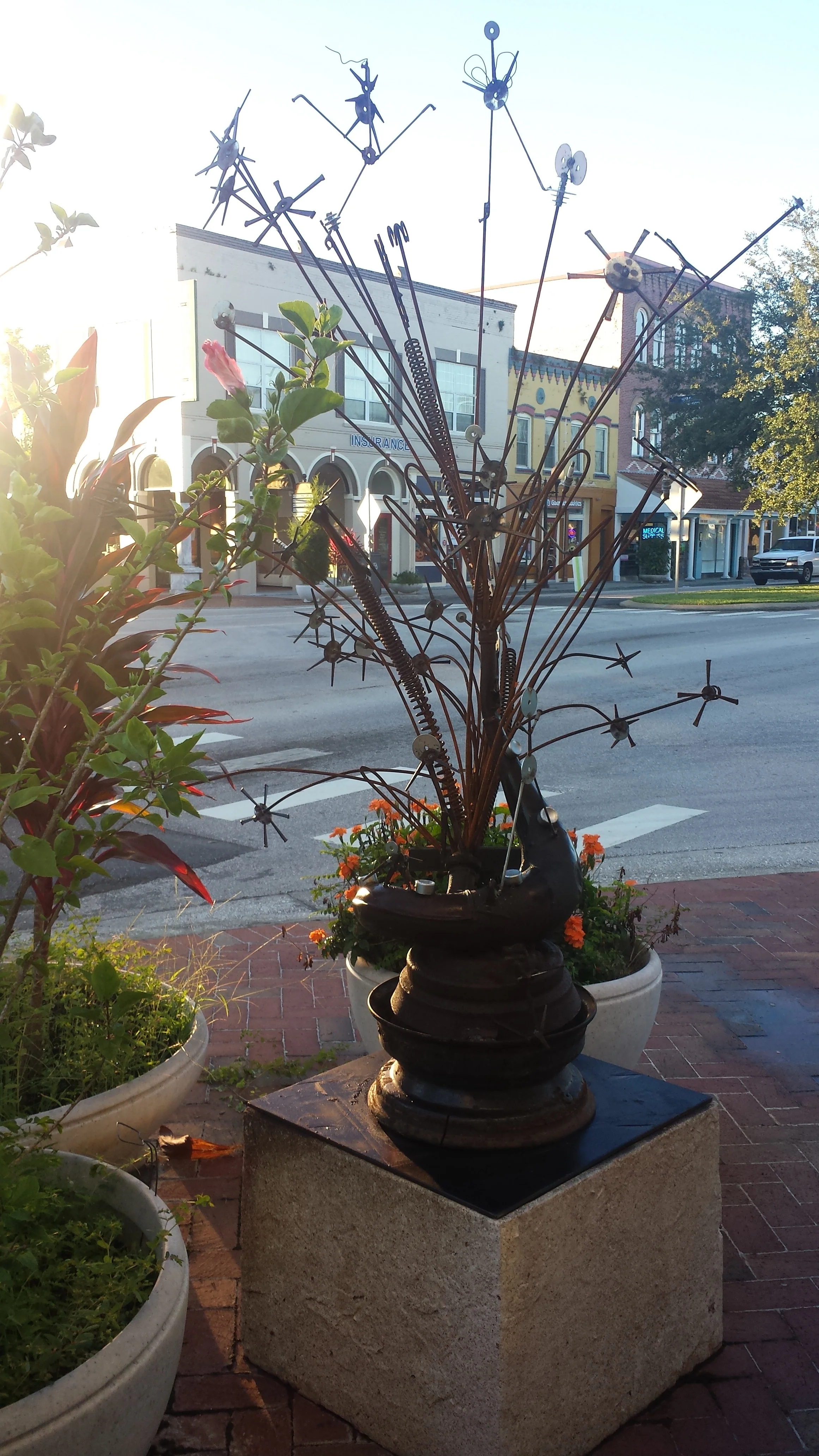 20141017_080008.jpg