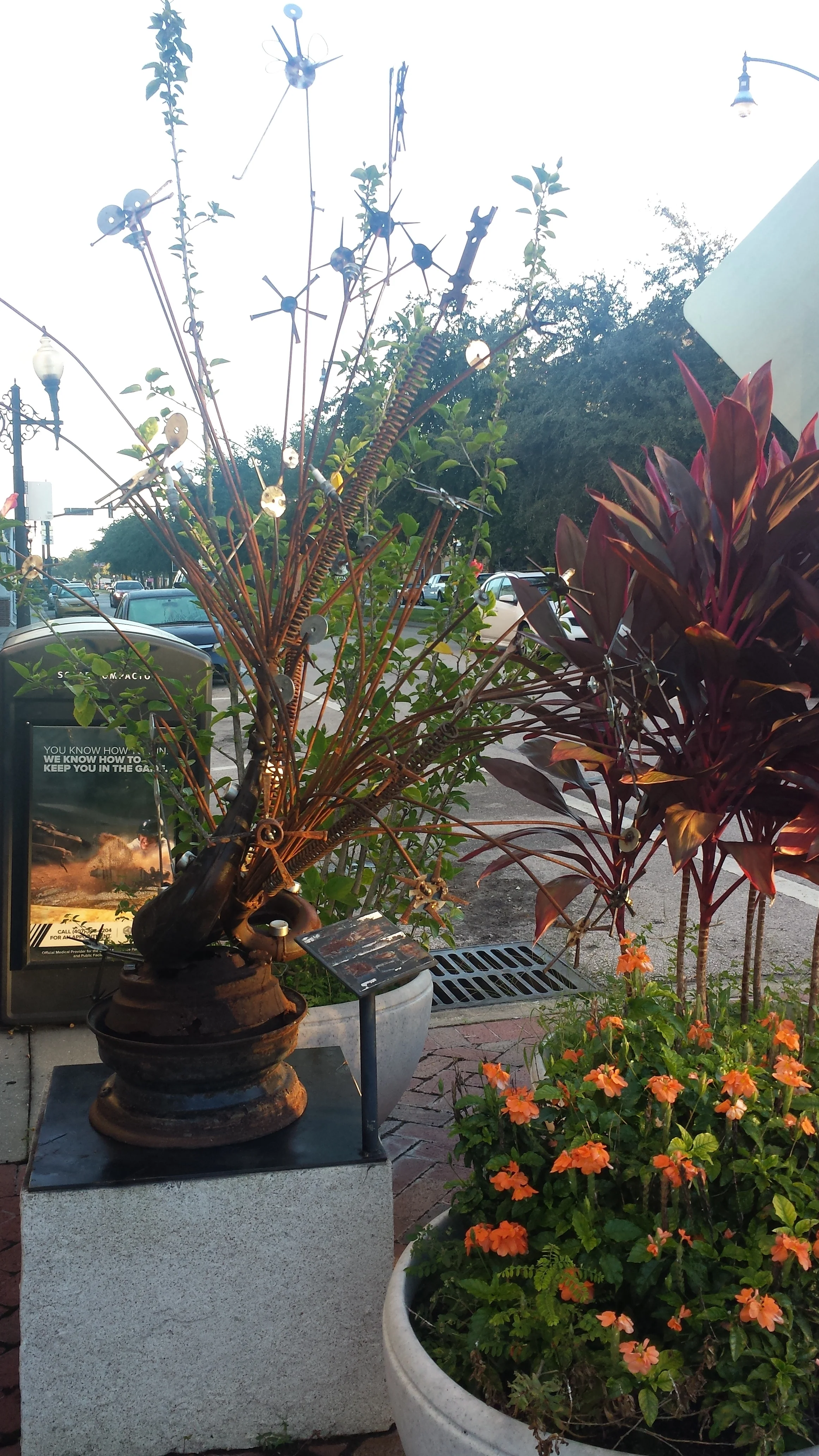 20141017_080020.jpg