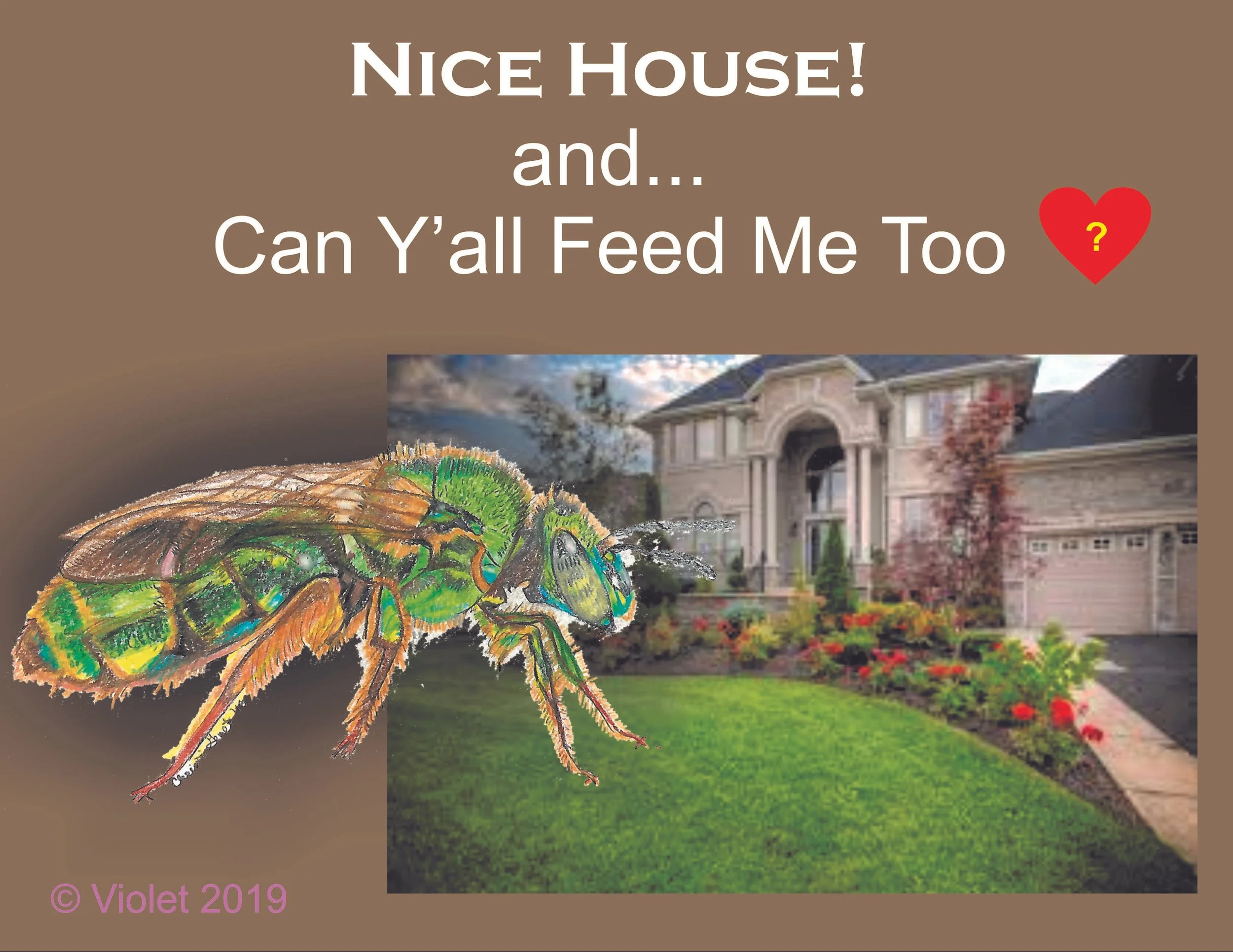 NiceHouse.jpg