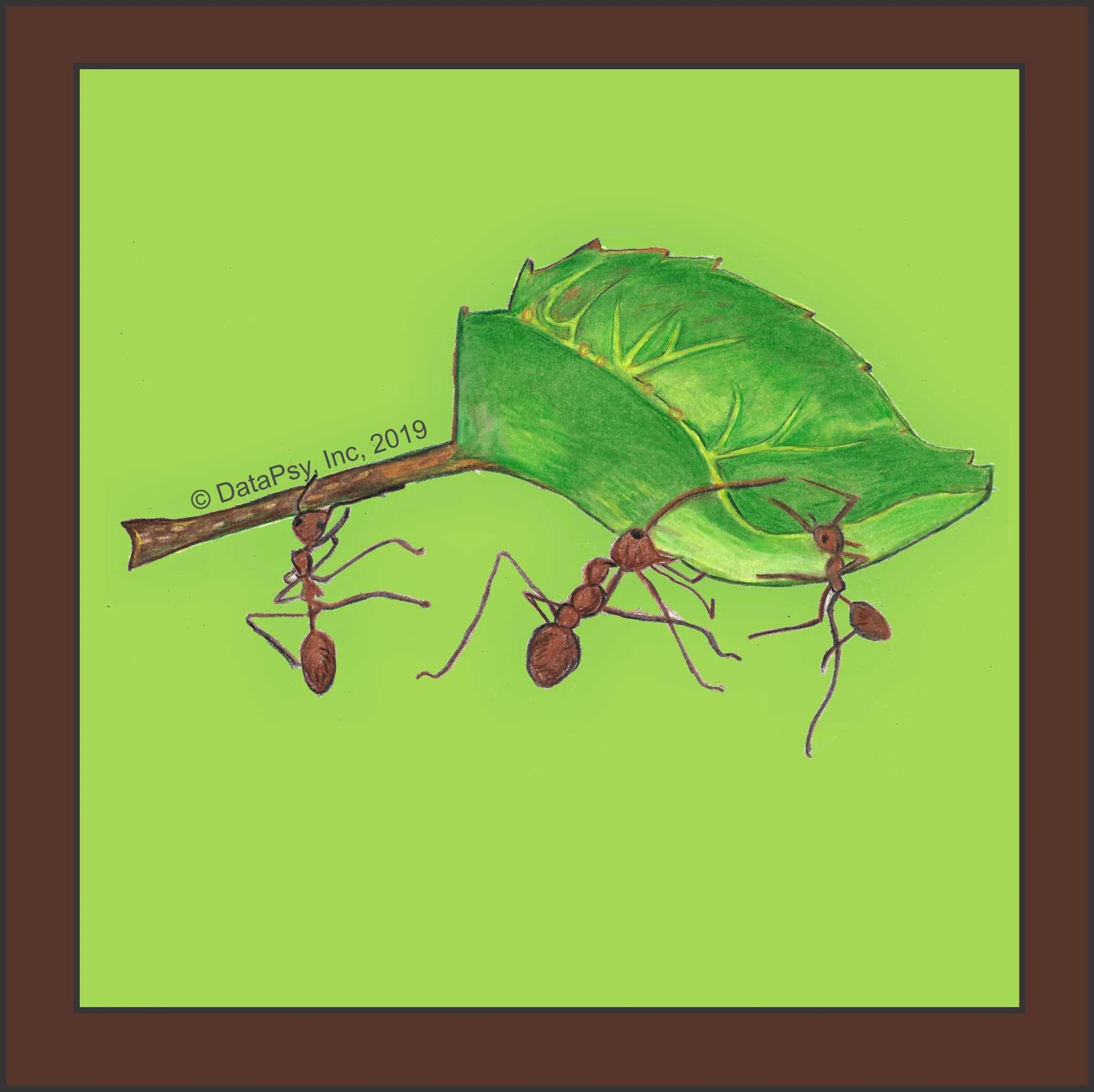 Teamwork-Ants-no-filter.jpg