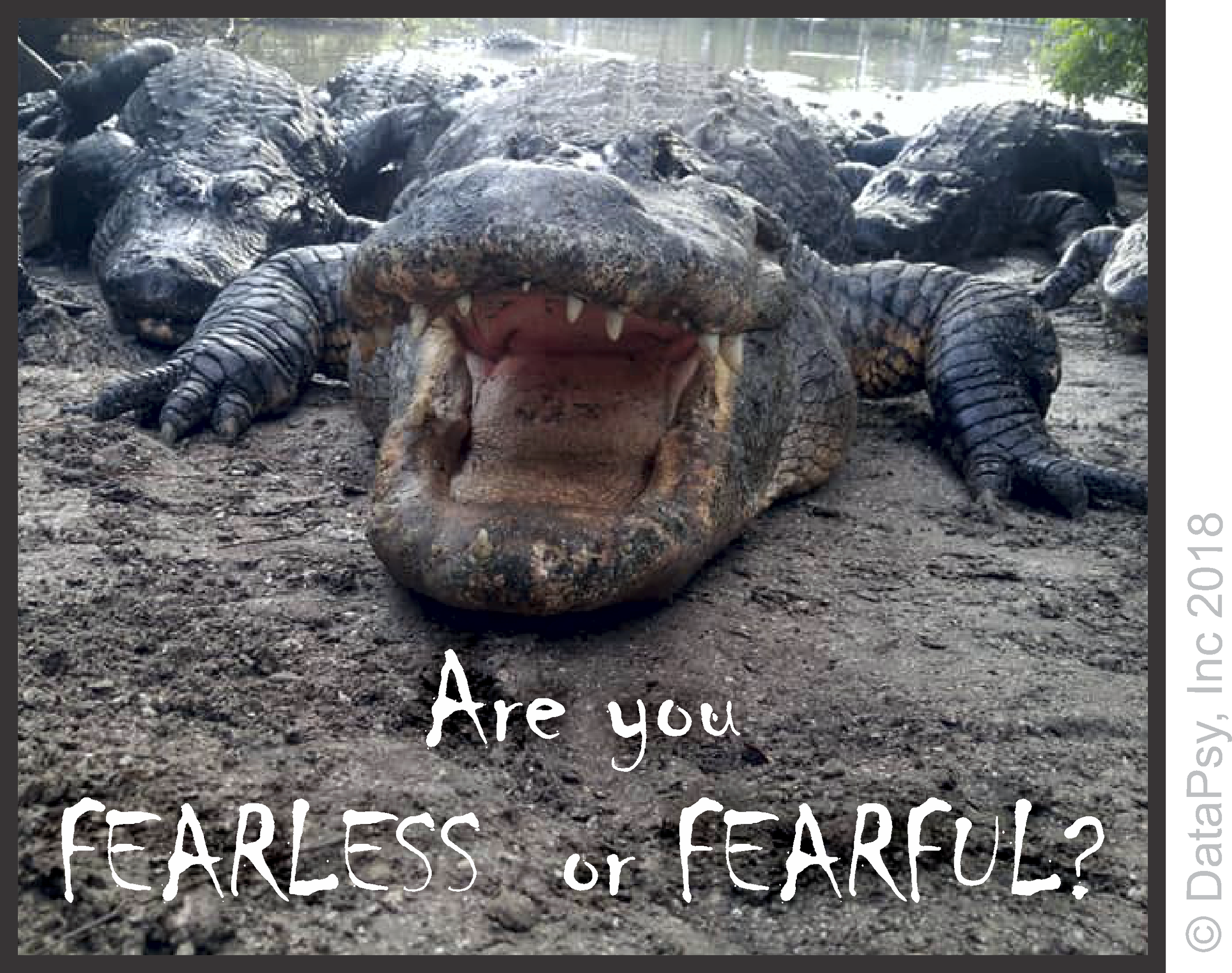 Fearless-or-fearful.png