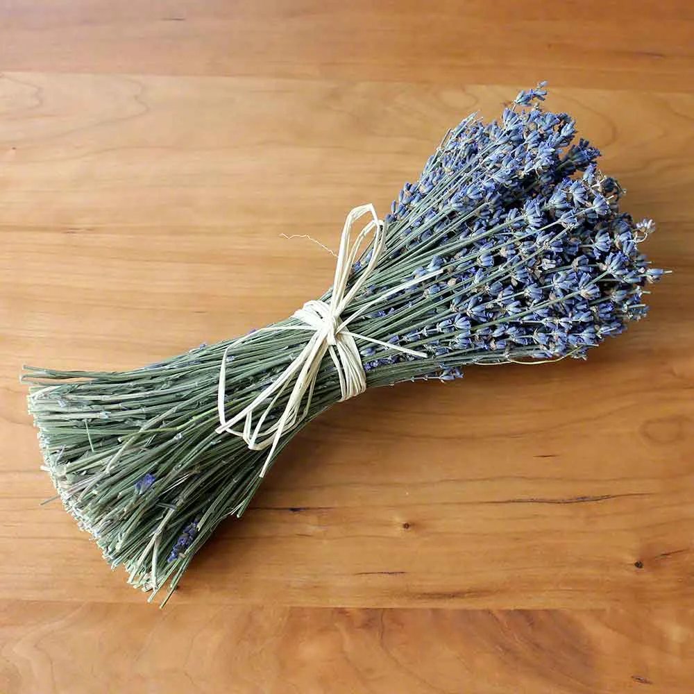 lavender.jpg